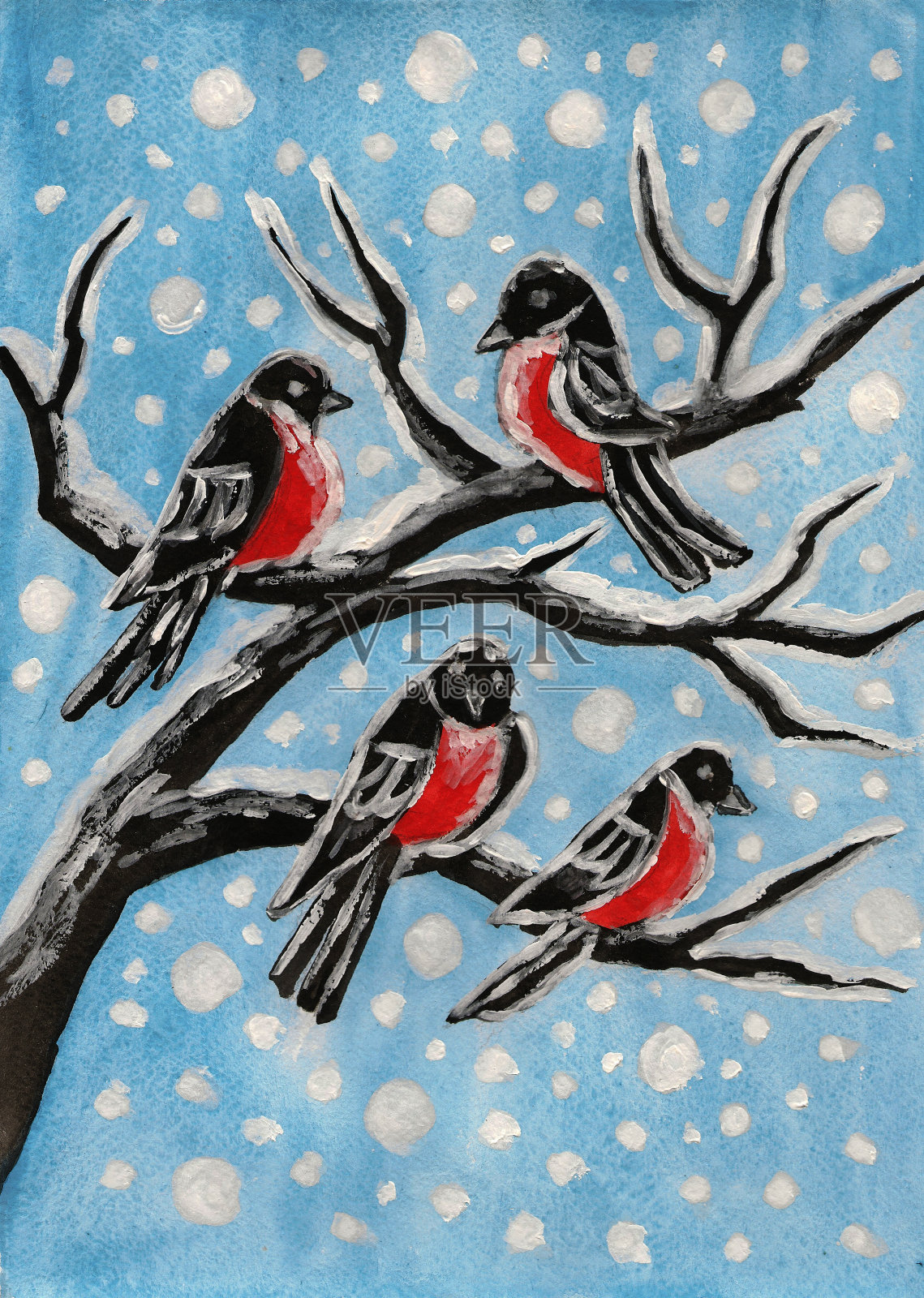 红腹灰雀在树枝上，画着插画图片素材