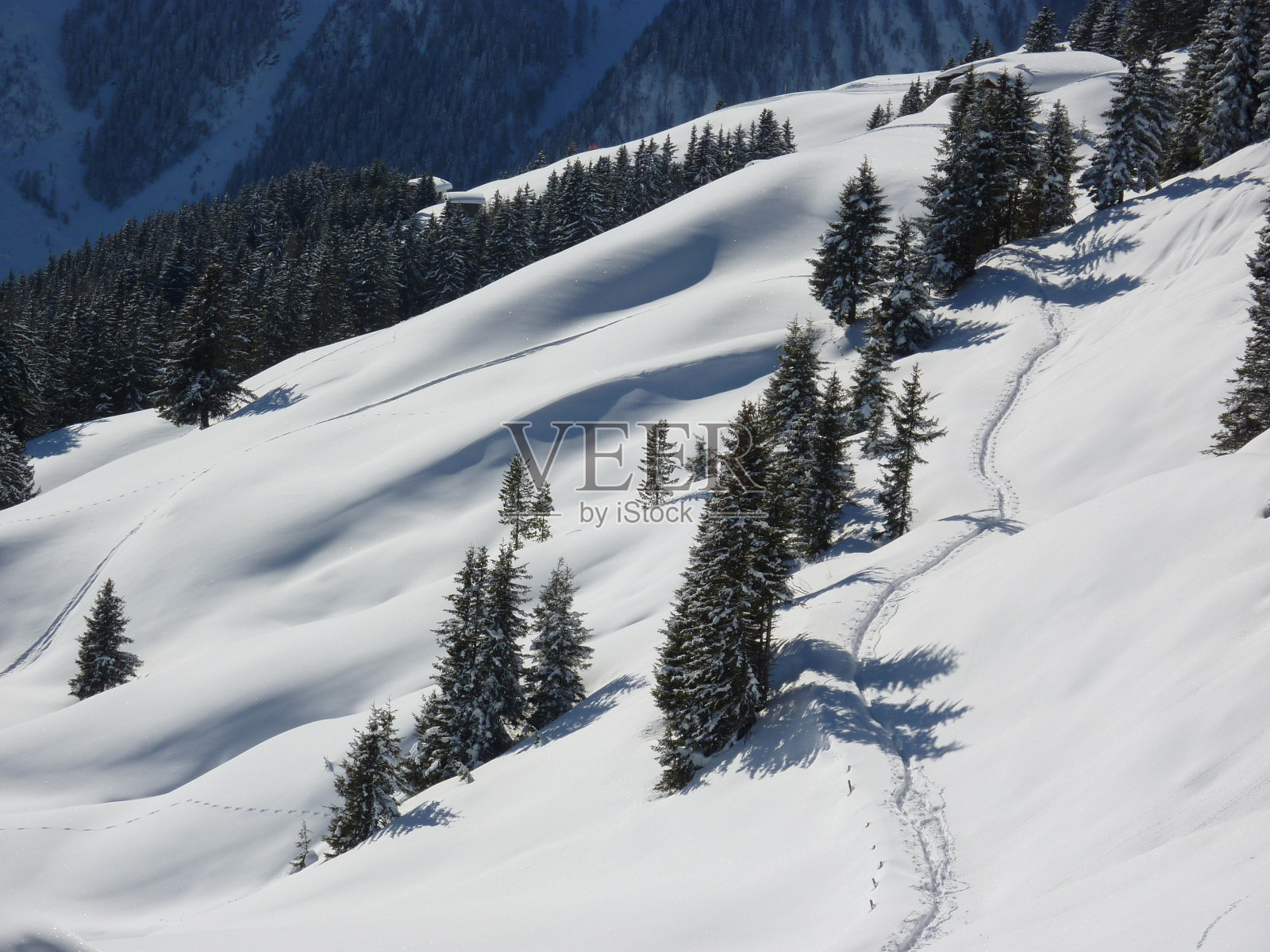 滑雪道穿过冬季的风景照片摄影图片