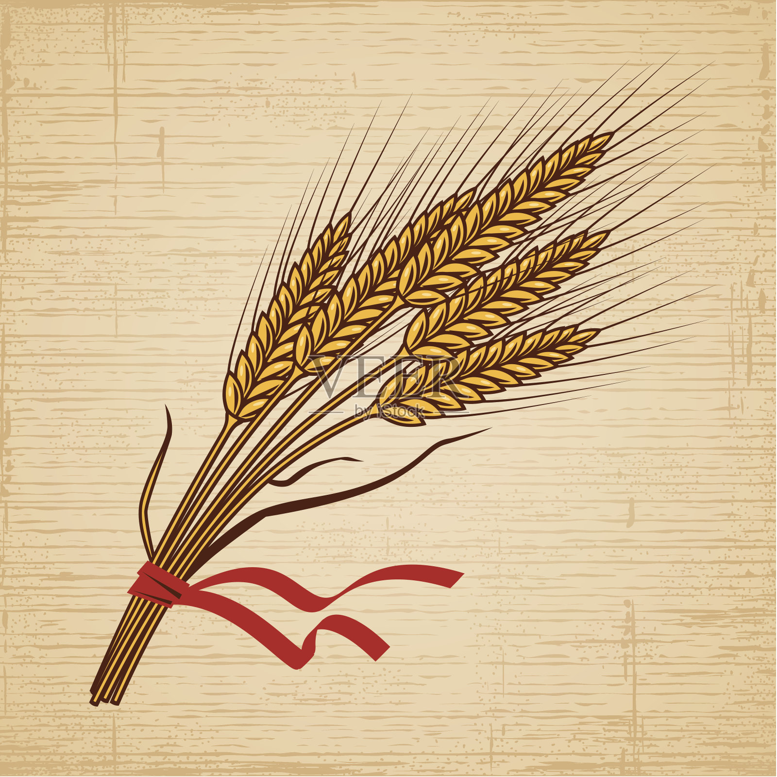 复古的小麦插画图片素材