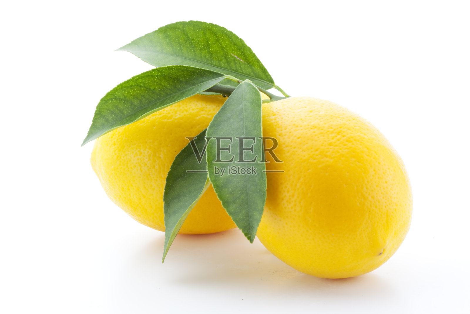 柠檬用树叶照片摄影图片