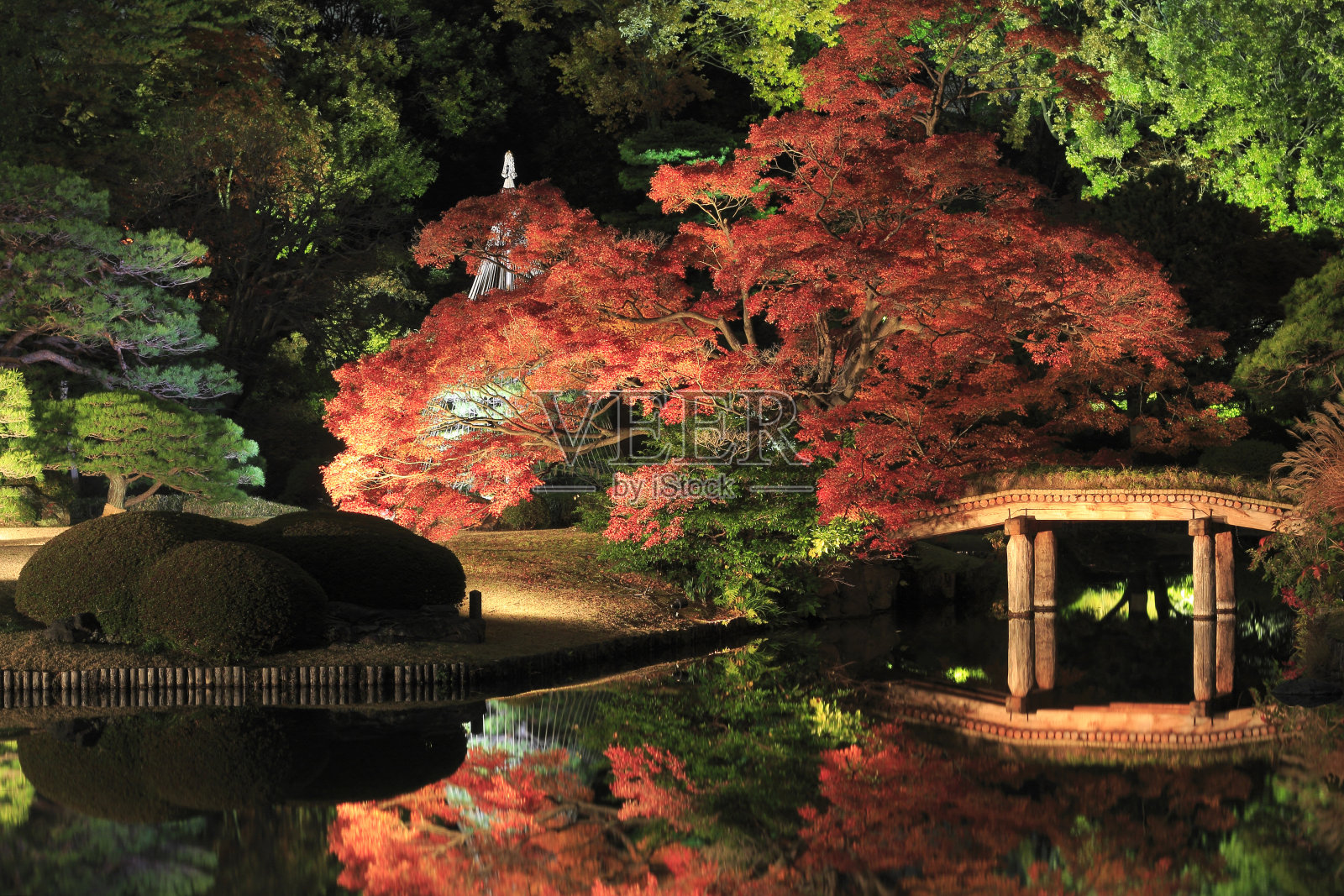 照日本花园照片摄影图片