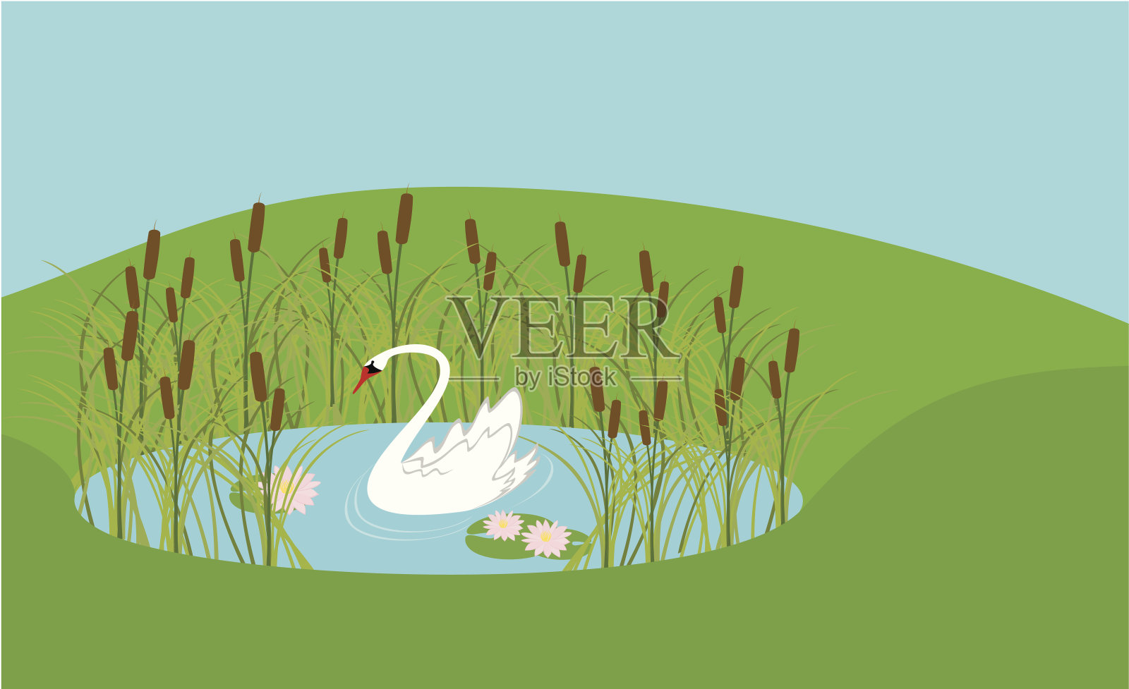 小湖里孤独的天鹅插画图片素材