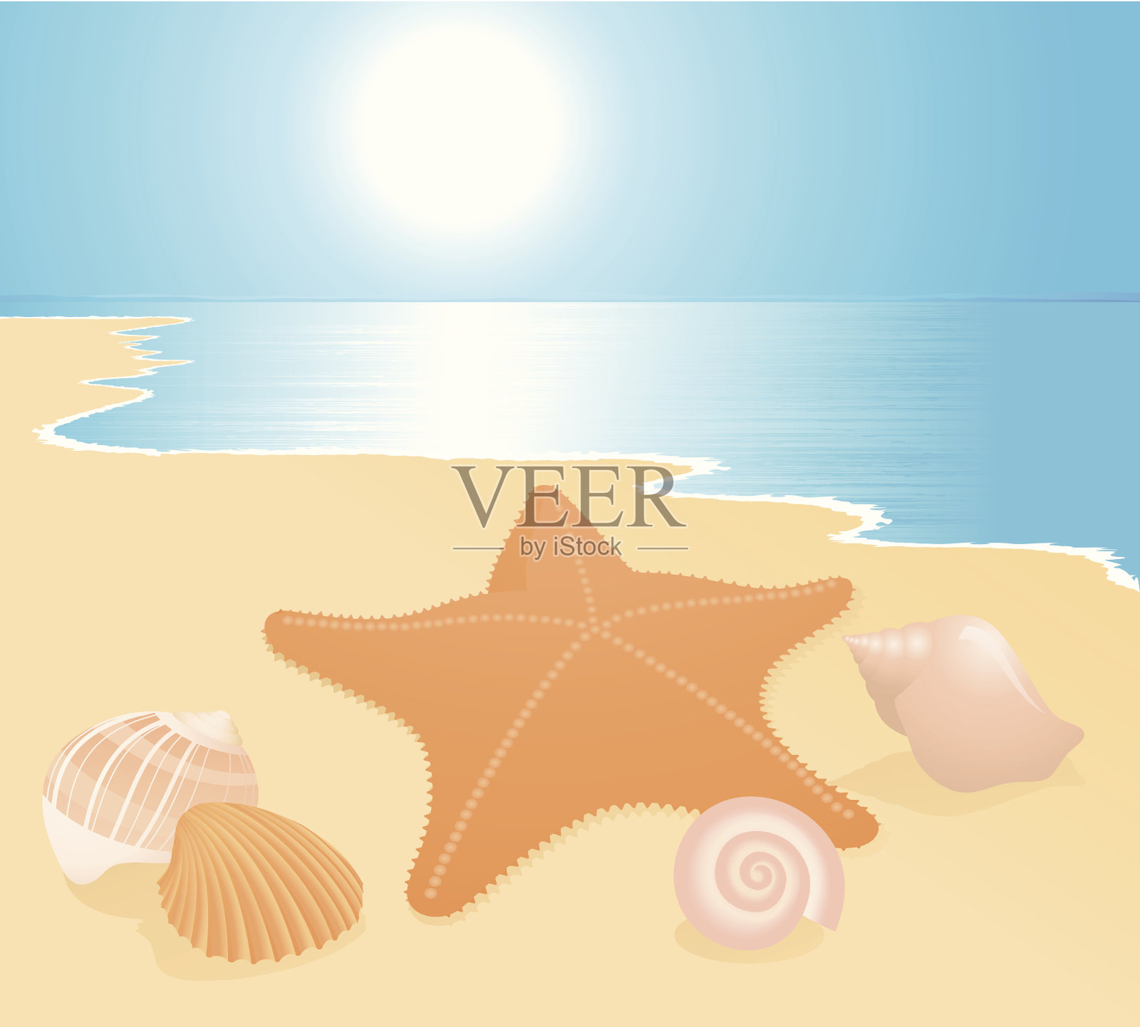 沙滩上美丽的贝壳插画图片素材
