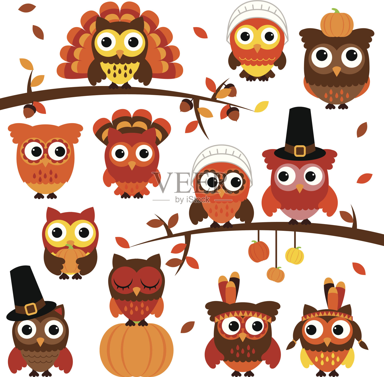 感恩节和秋季主题向量猫头鹰系列与分支插画图片素材