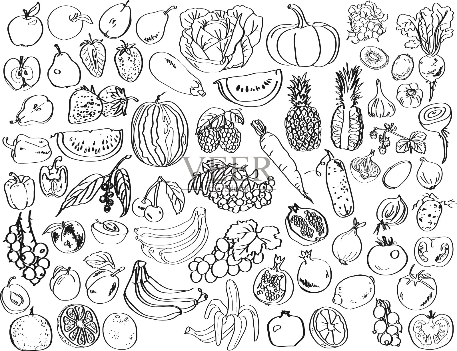 蔬菜,水果,浆果插画图片素材