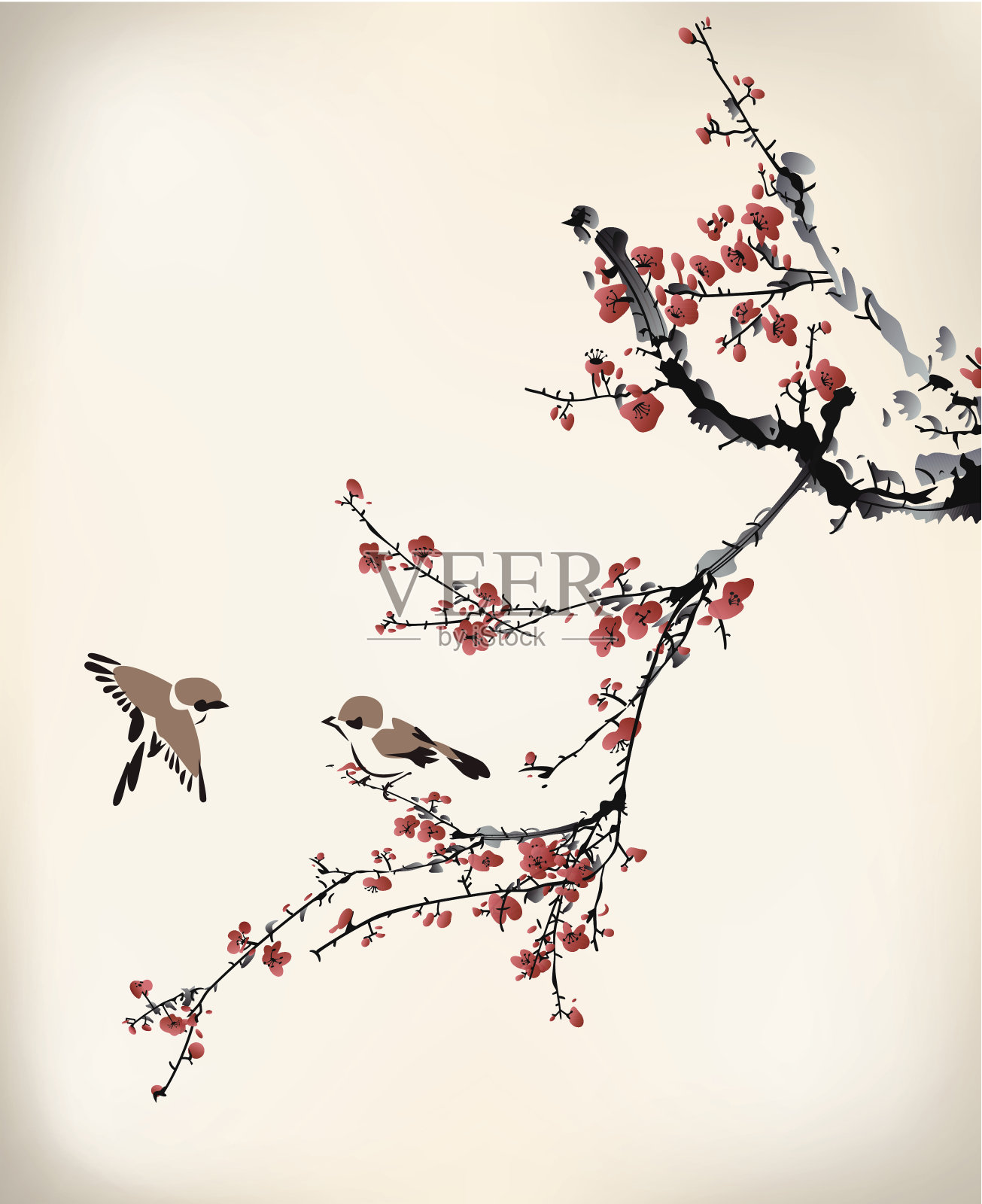 褐色和黑色的鸟降落在红色的冬天甜蜜的花朵上插画图片素材