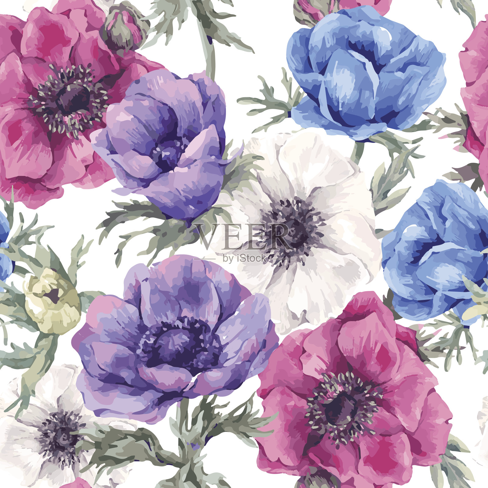 花的无缝图案与盛开的银莲花插画图片素材