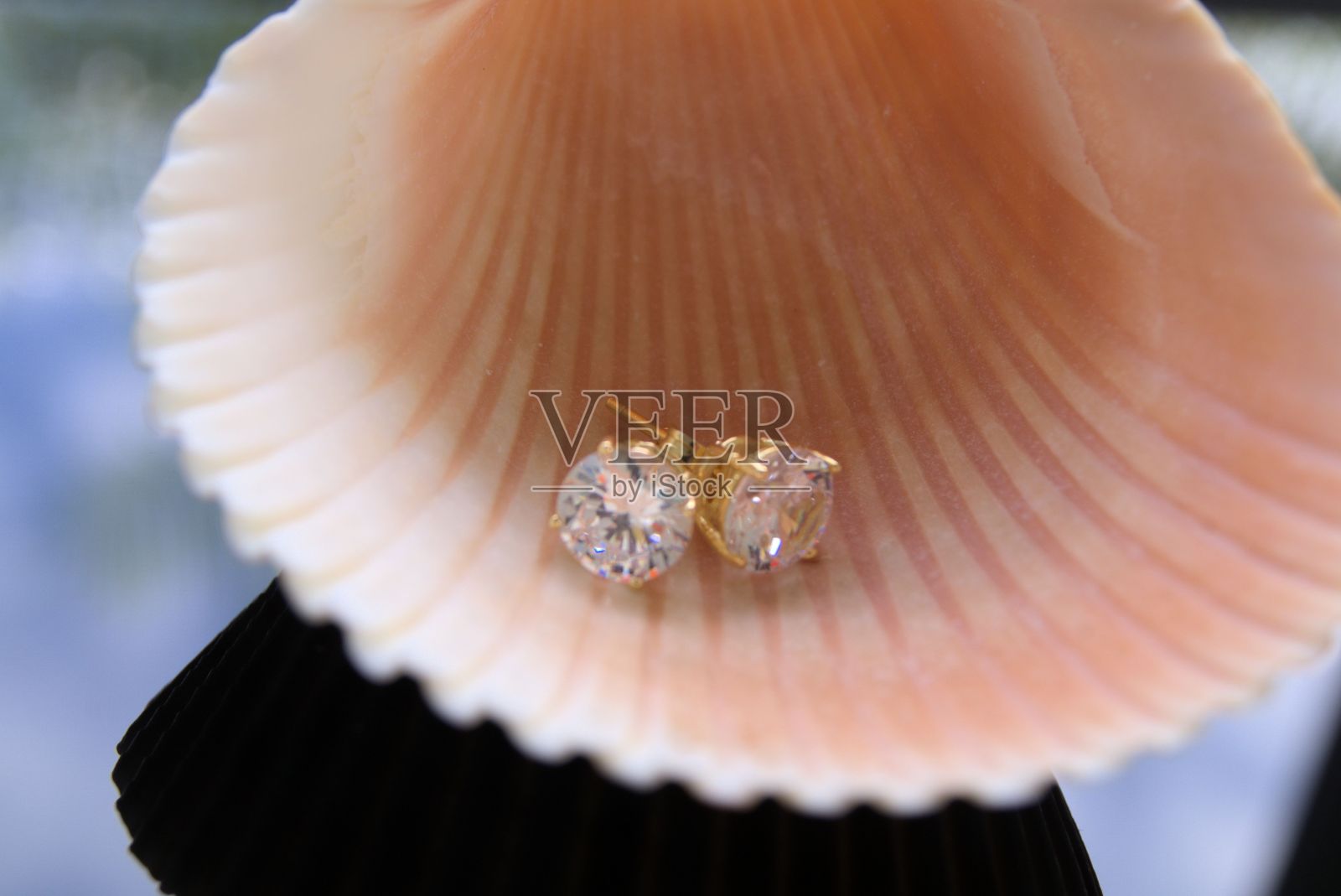 贝壳上的钻石耳环。照片摄影图片