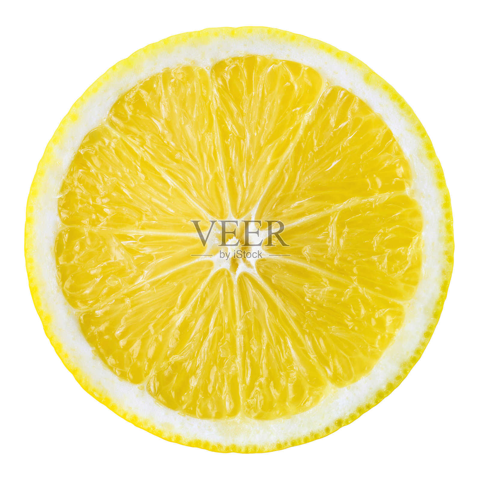 柠檬水果片。圆孤立在白色上。照片摄影图片
