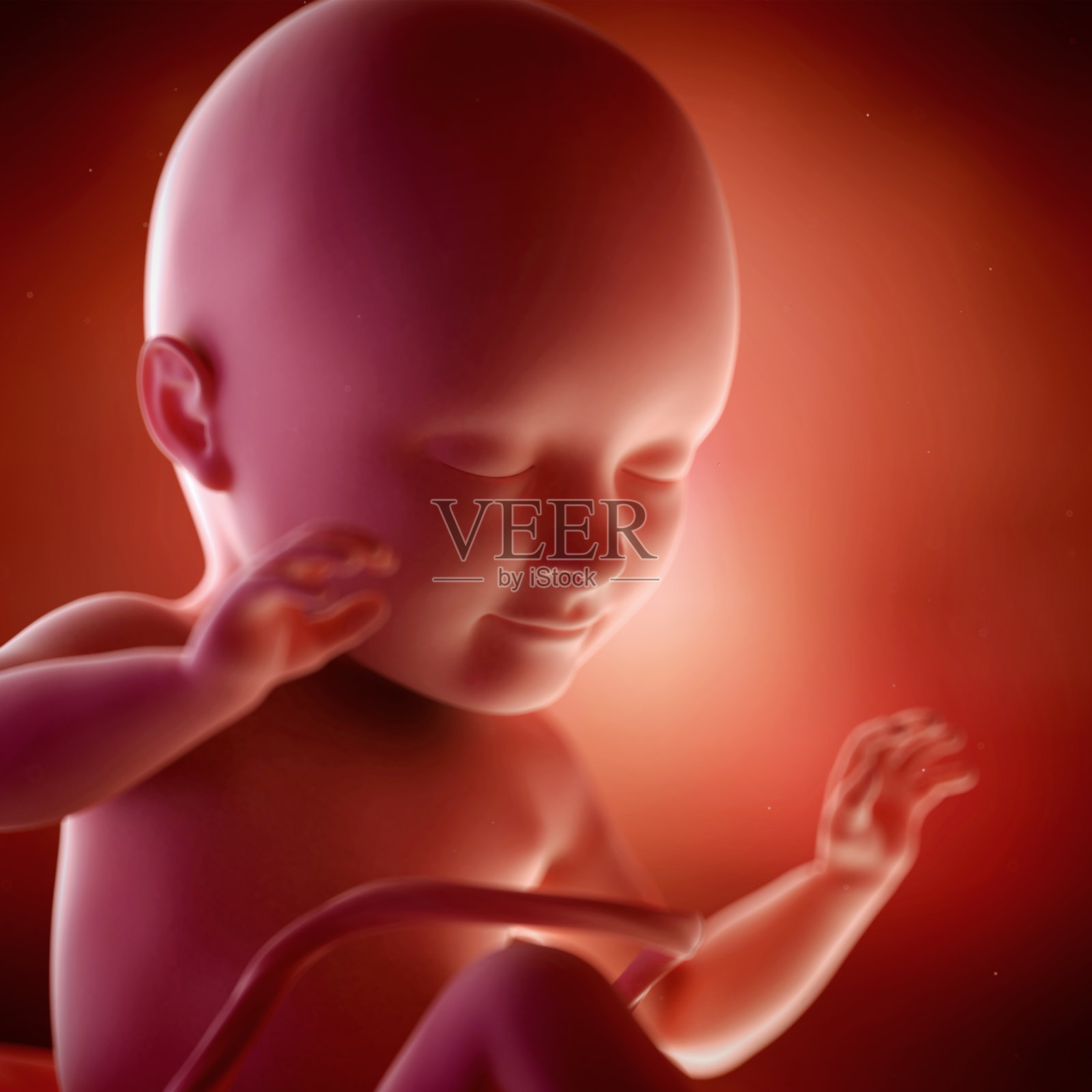 胎儿34周照片摄影图片