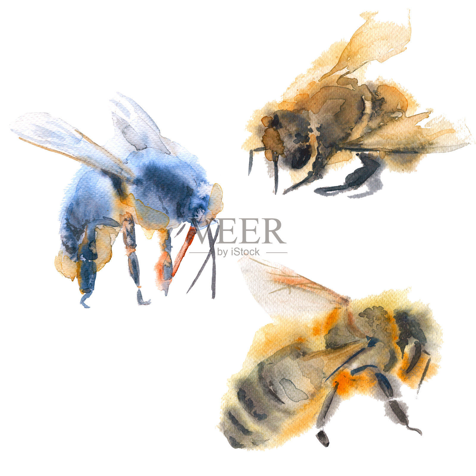 蜜蜂飞行。孤立在白色背景上。水彩树脂插画图片素材