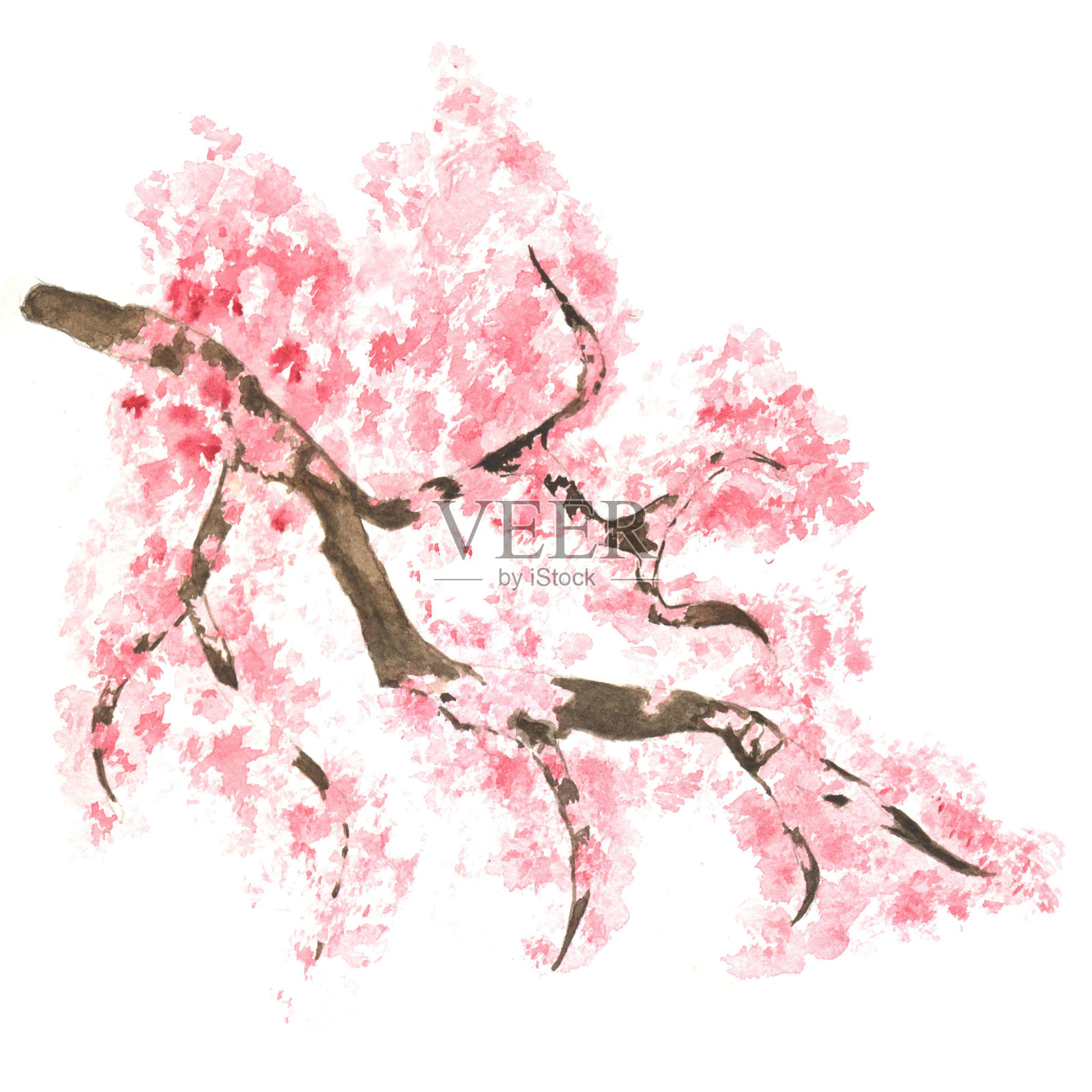 水彩画素描樱花枝头绽放，樱花树上满是鲜花设计元素图片