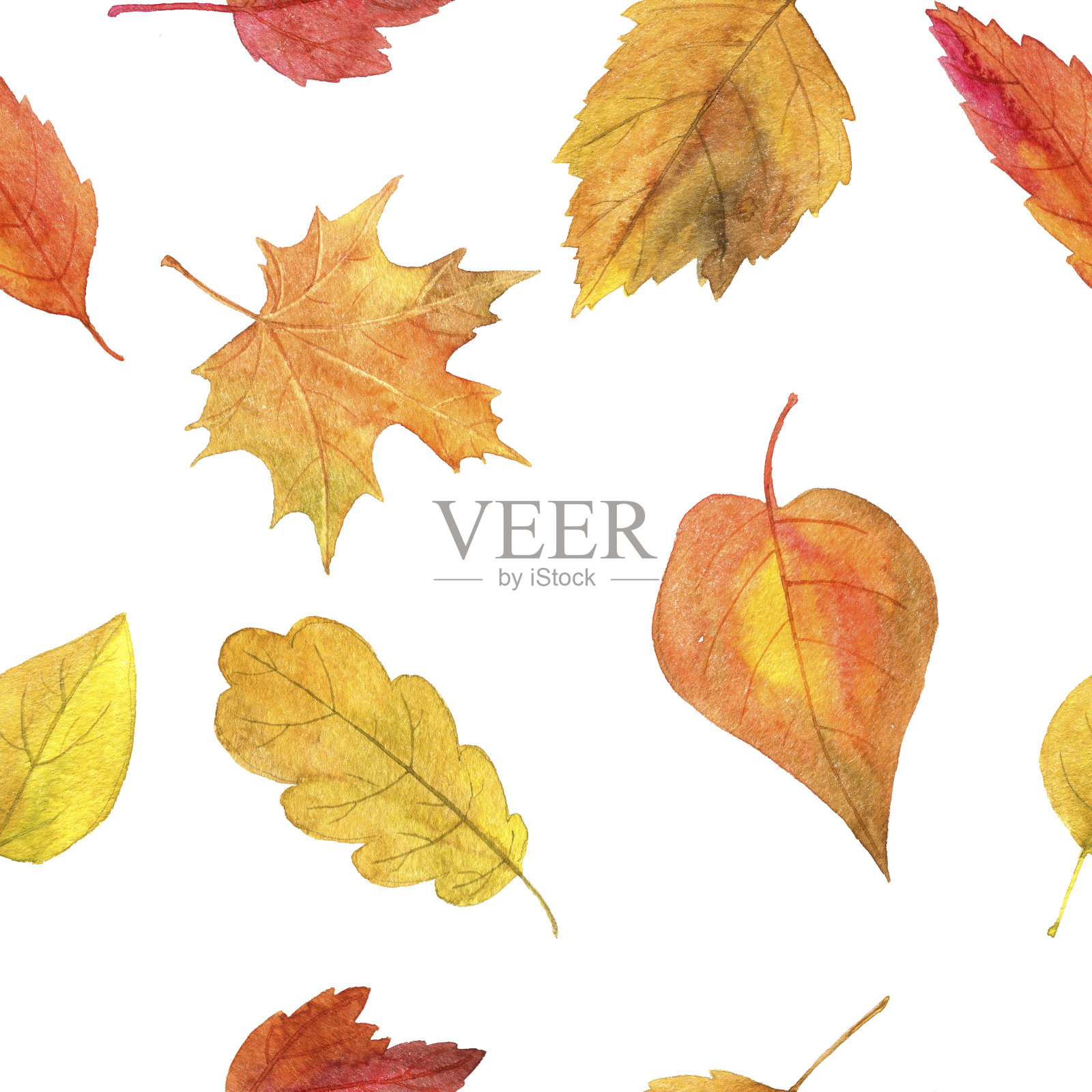 无缝图案与秋天的叶子在水彩插画图片素材