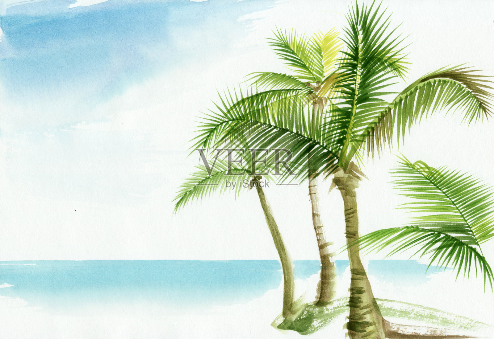 棕榈海滩度假村插画图片素材