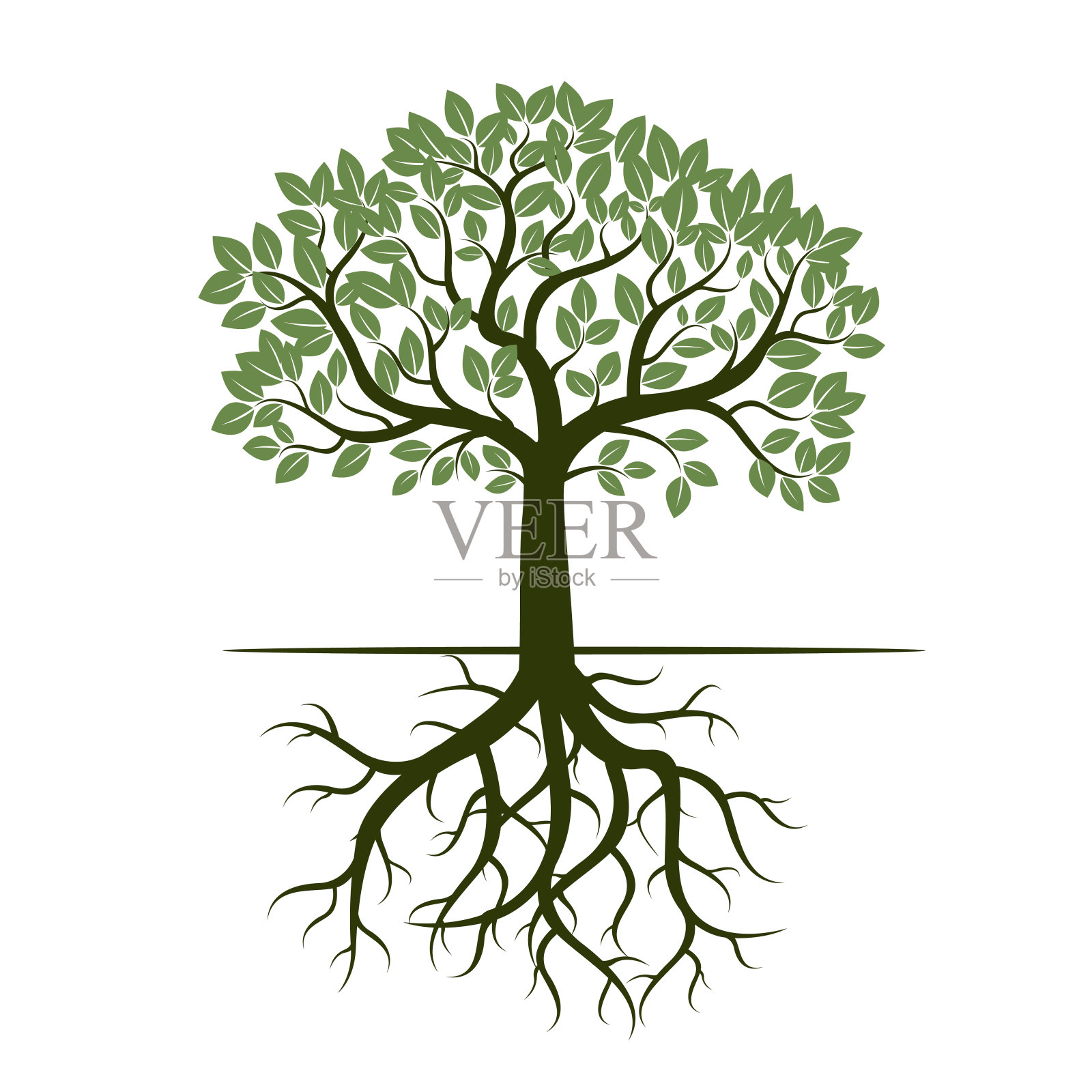 绿色的树和根。矢量插图。设计元素图片