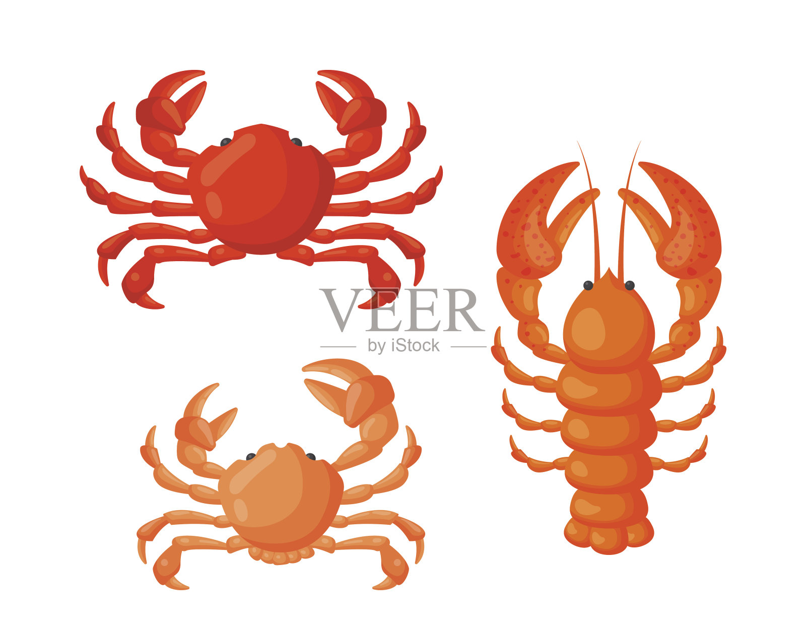龙虾和螃蟹矢量平面插图插画图片素材