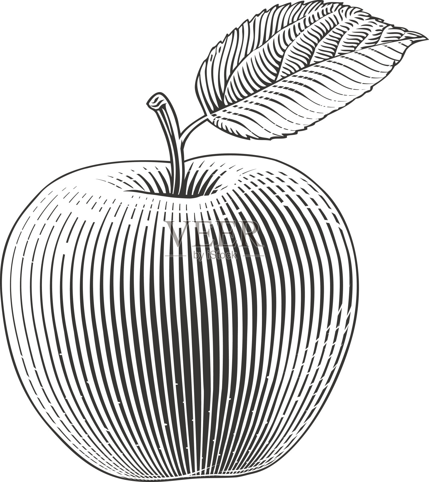 雕刻苹果设计元素图片