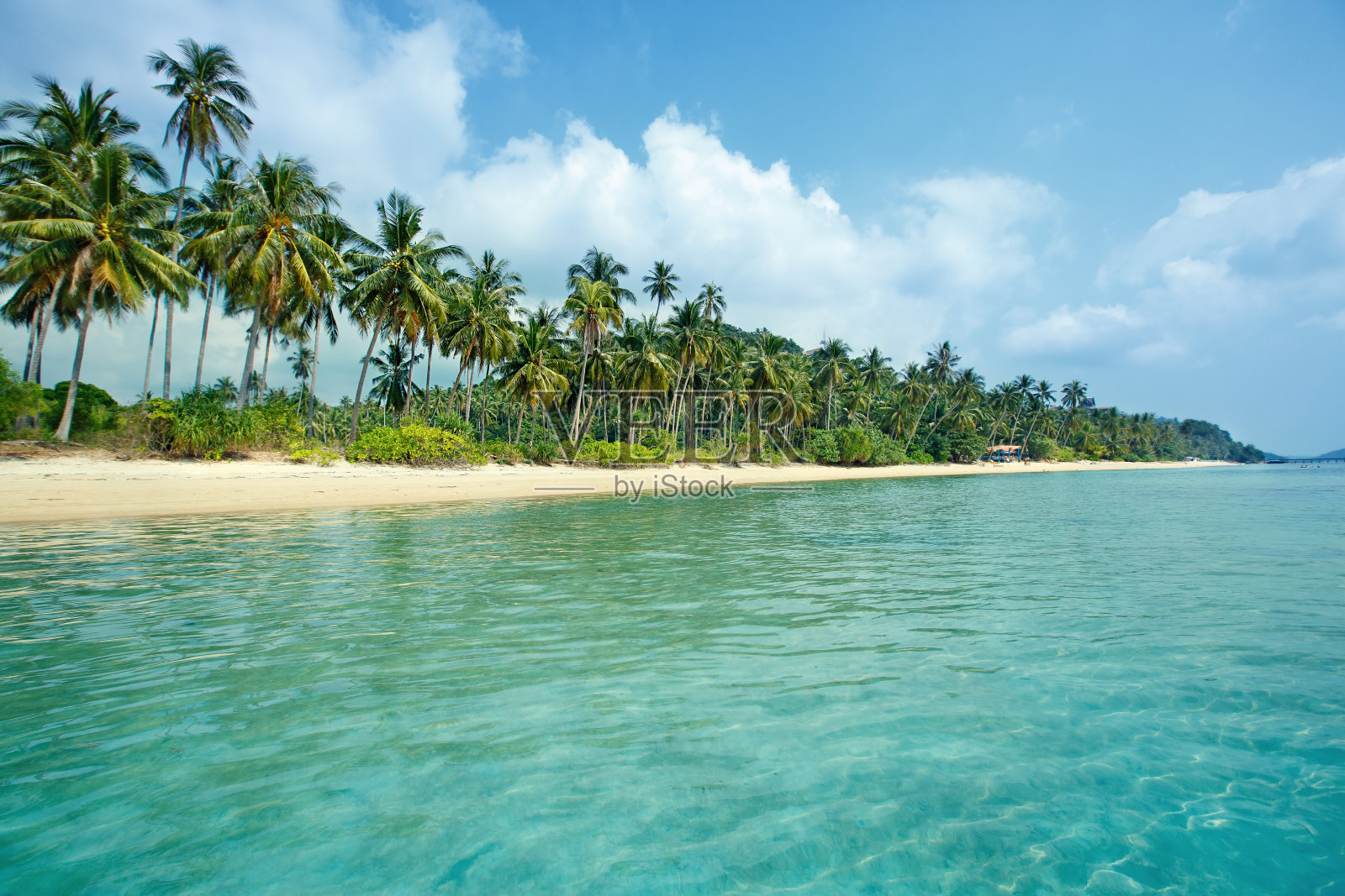 泰国苏梅岛的热带海滩和椰子树照片摄影图片