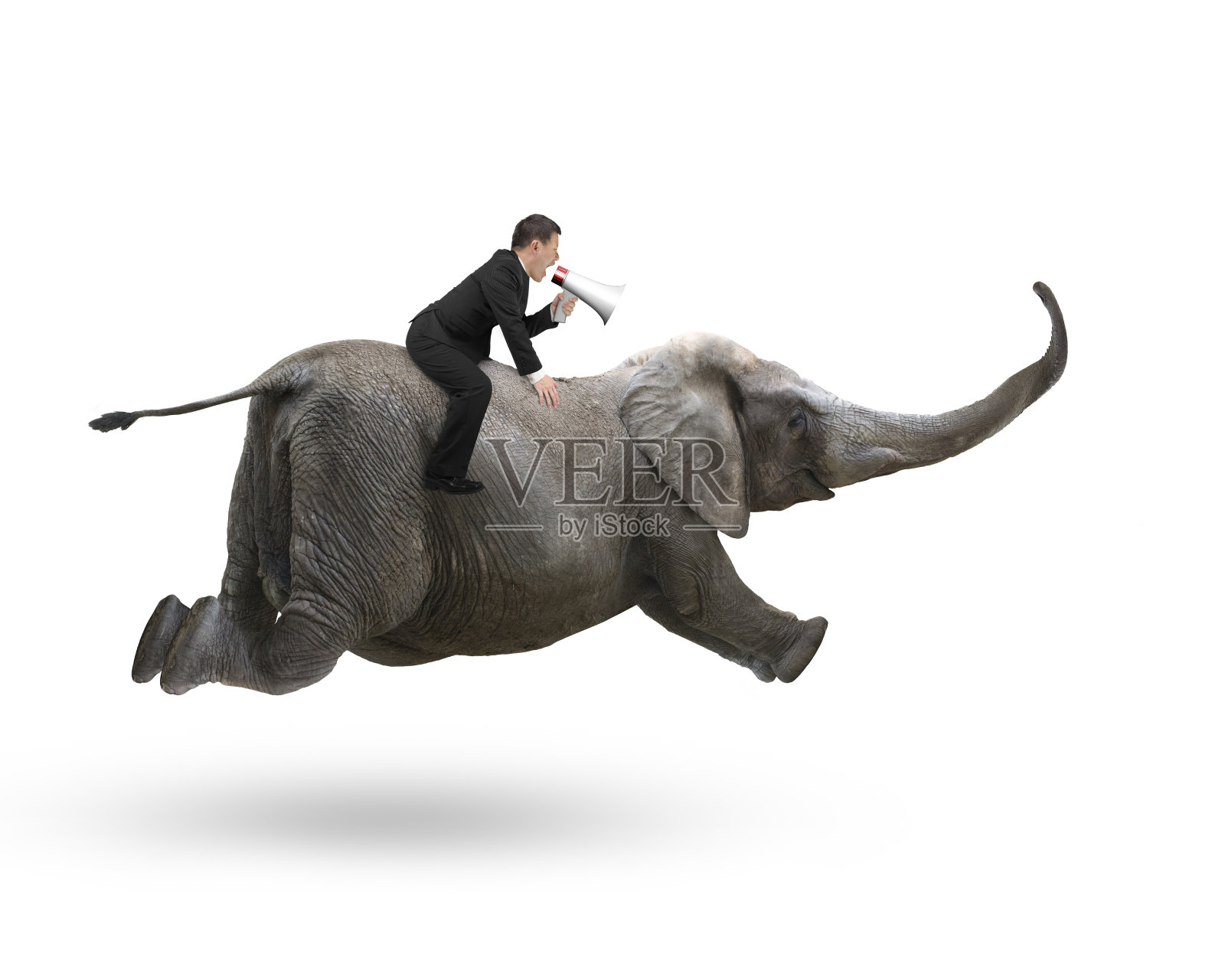 商人用扬声器骑在大象上照片摄影图片