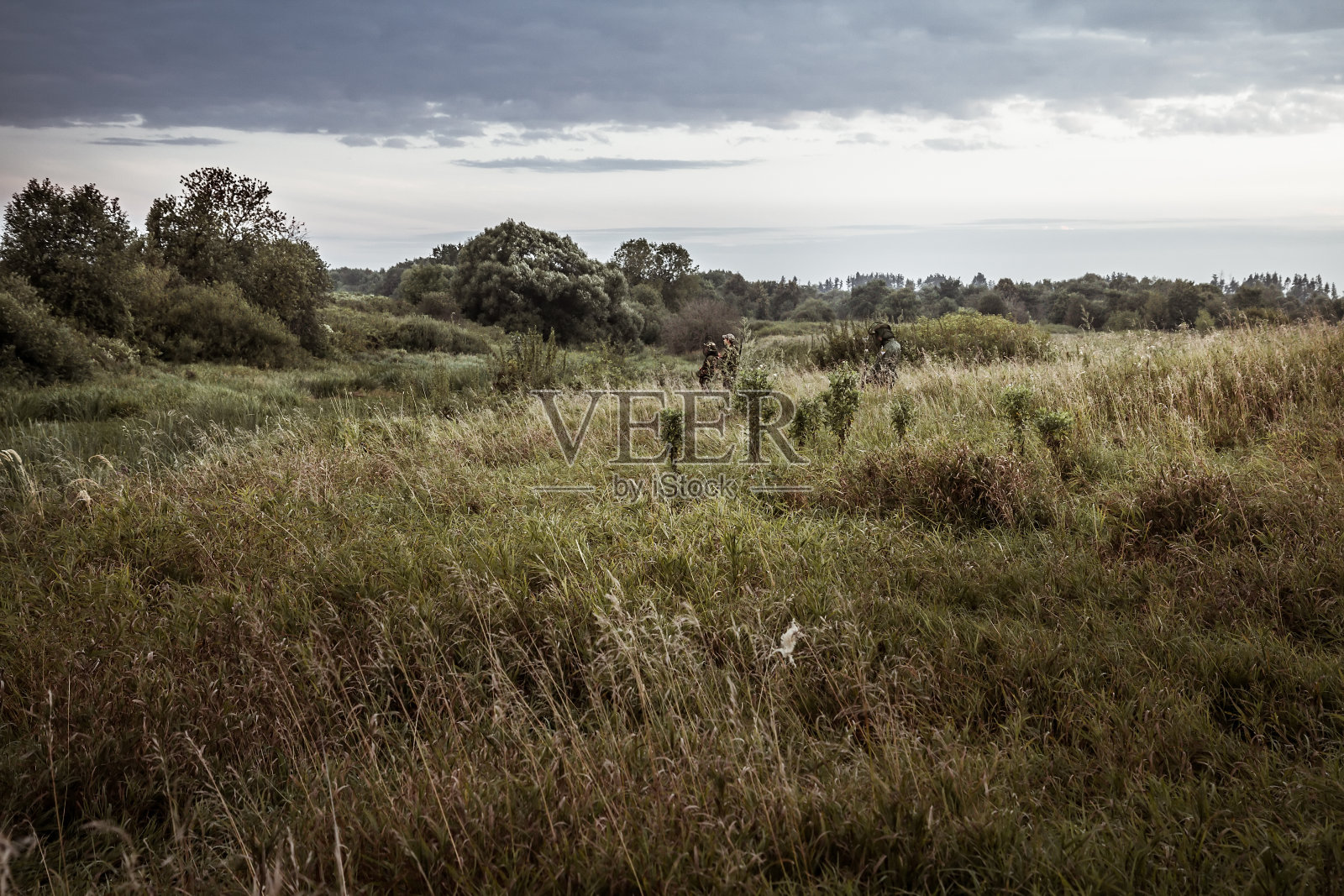 在狩猎季节的乡村景观与猎人在高草在农村田野与戏剧性的天空在黄昏照片摄影图片