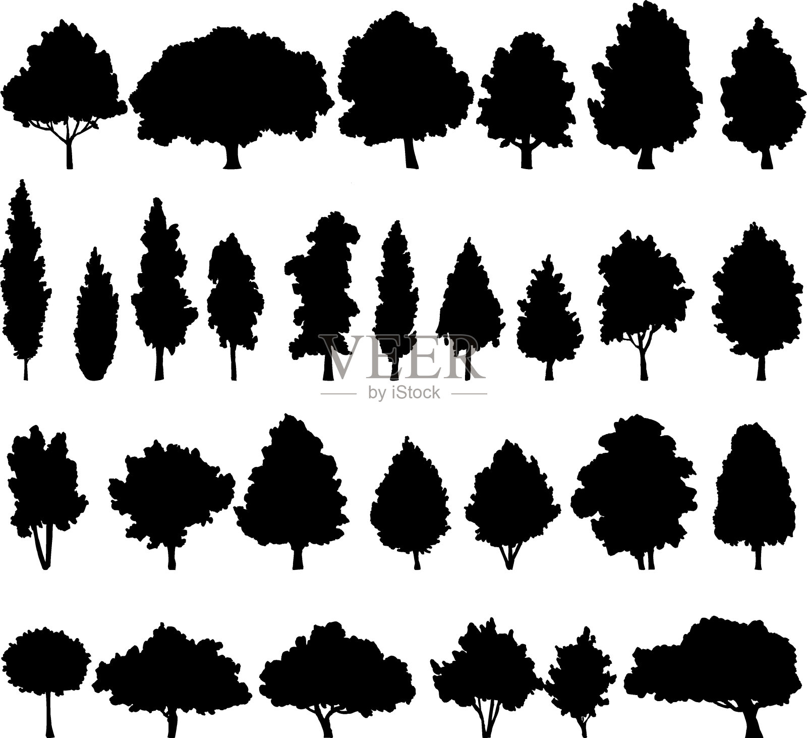 一组不同的落叶树插画图片素材