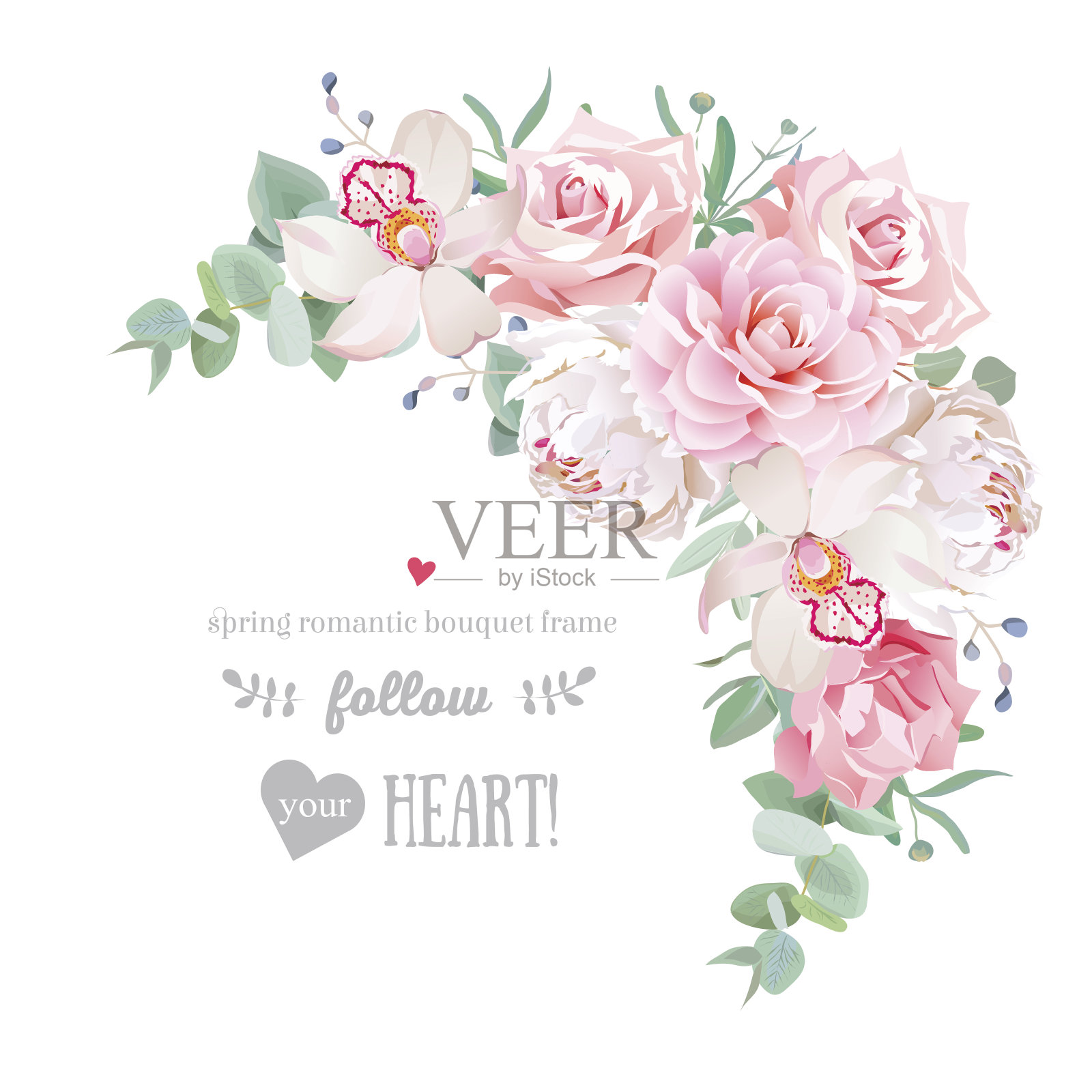 精致的花卉向量框架牡丹，山茶，玫瑰，兰花，康乃馨插画图片素材