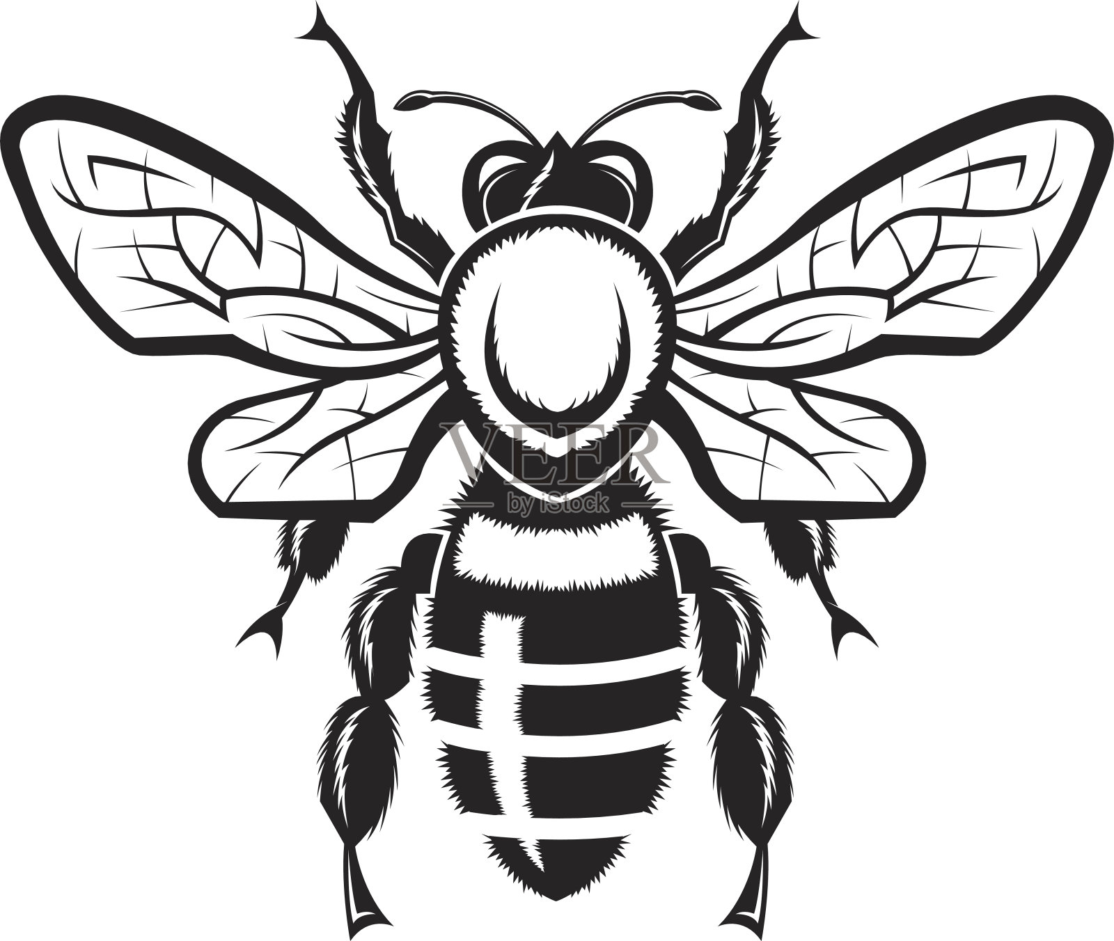 蜜蜂的形象设计元素图片