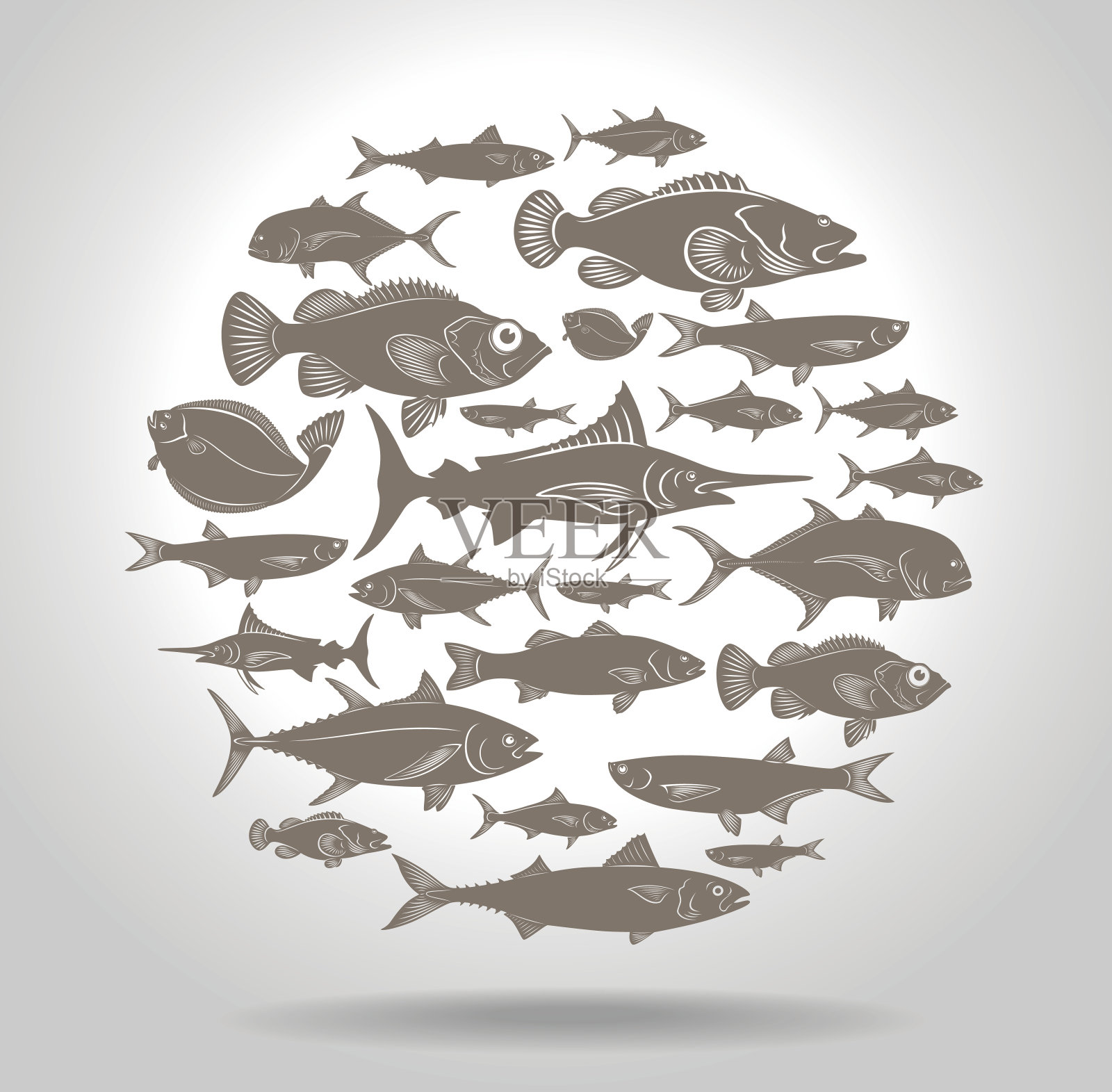 海洋鱼类的标志插画图片素材