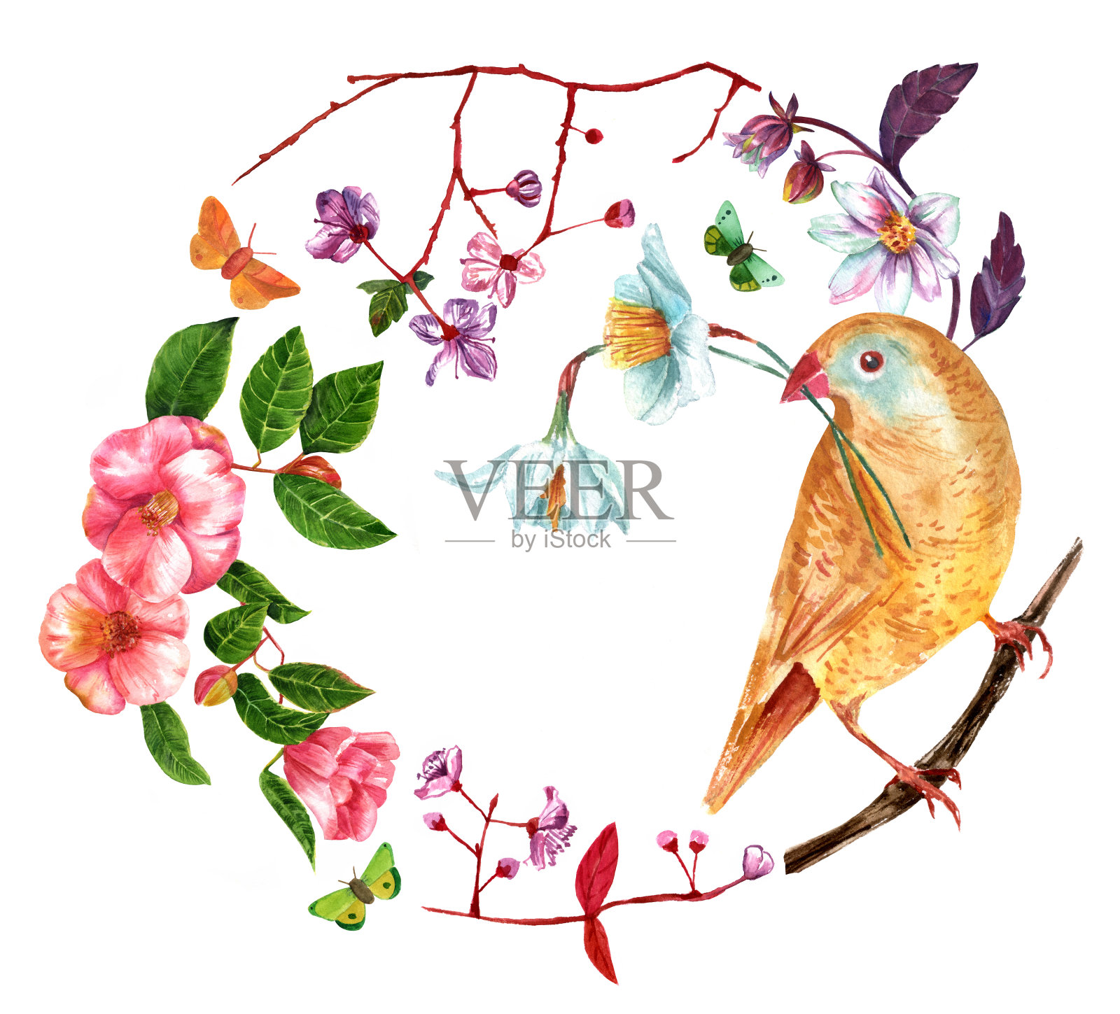 复古风格水彩花环与鸟，花，和蝴蝶设计元素图片
