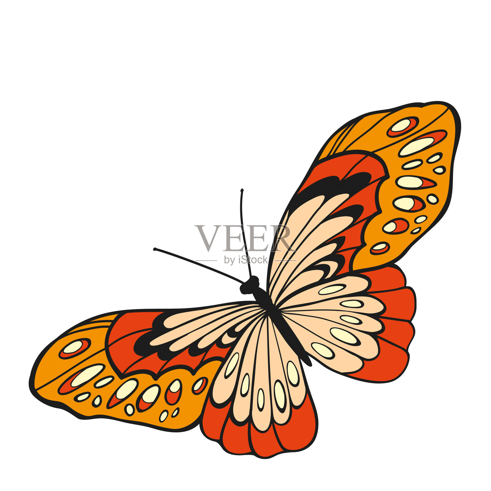 在俯视图中张开翅膀的红色蝴蝶插画图片素材