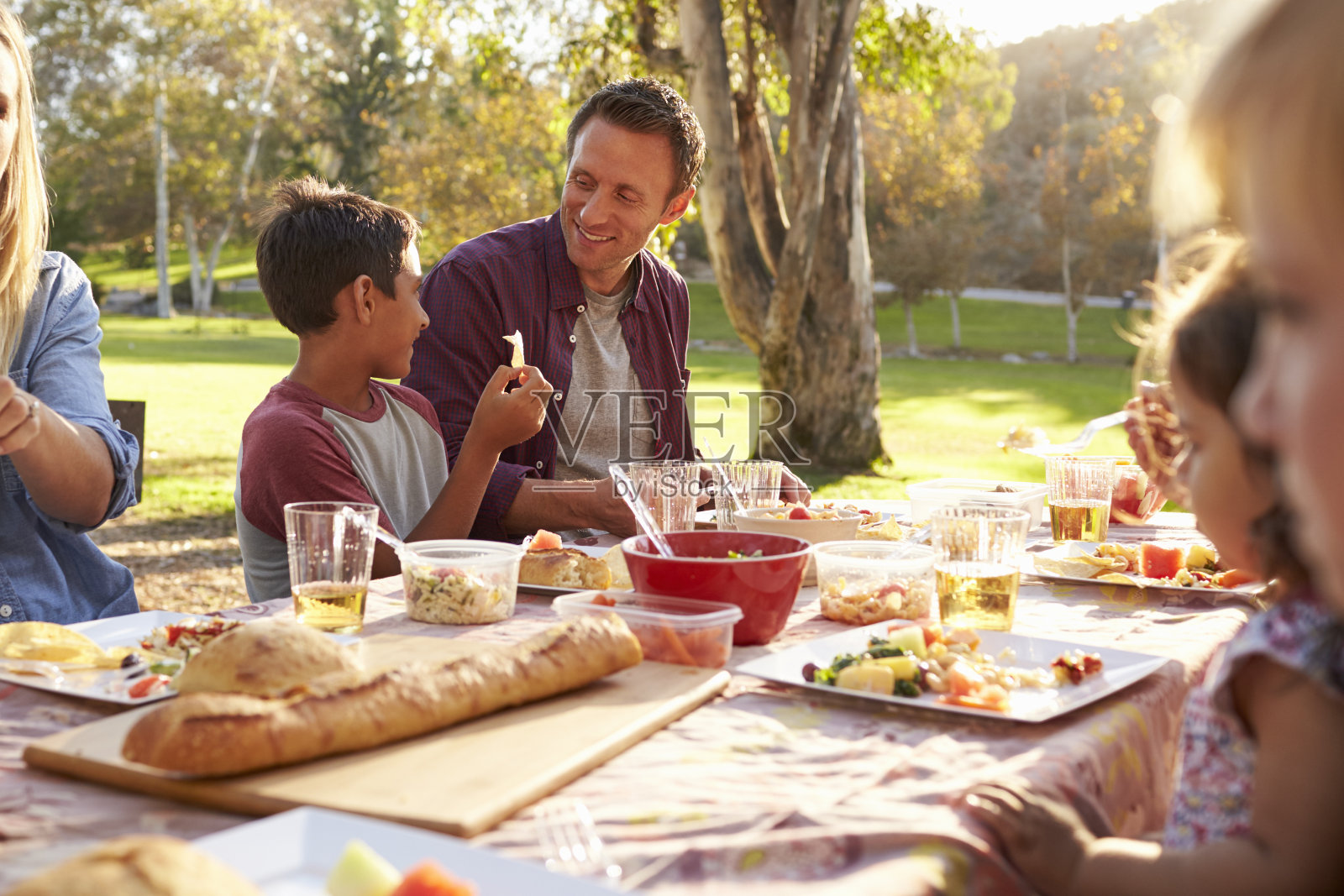 两个家庭在公园的一张桌子上野餐，照片摄影图片