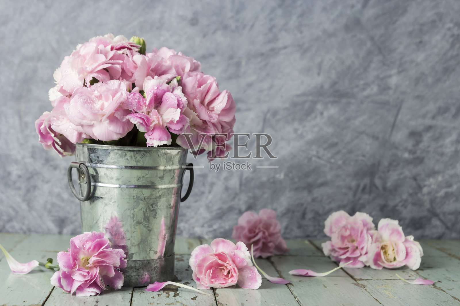粉红色的康乃馨花在旧木上的锌桶里照片摄影图片