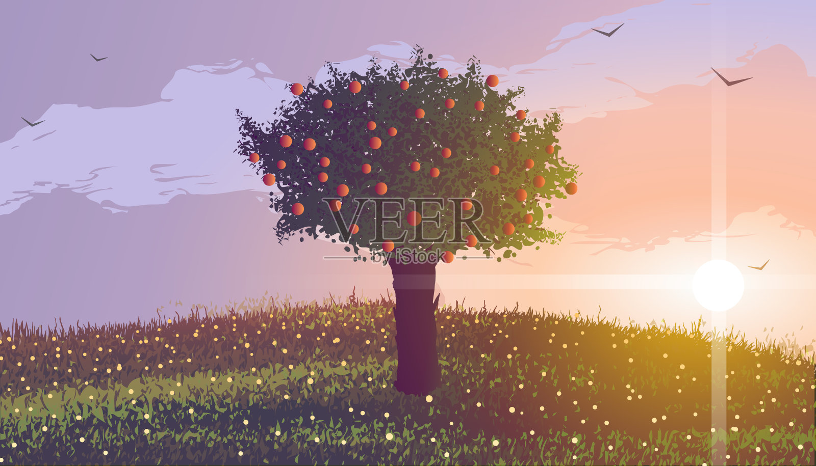 夏天。日落时分，山上的苹果树开满了花。插画图片素材