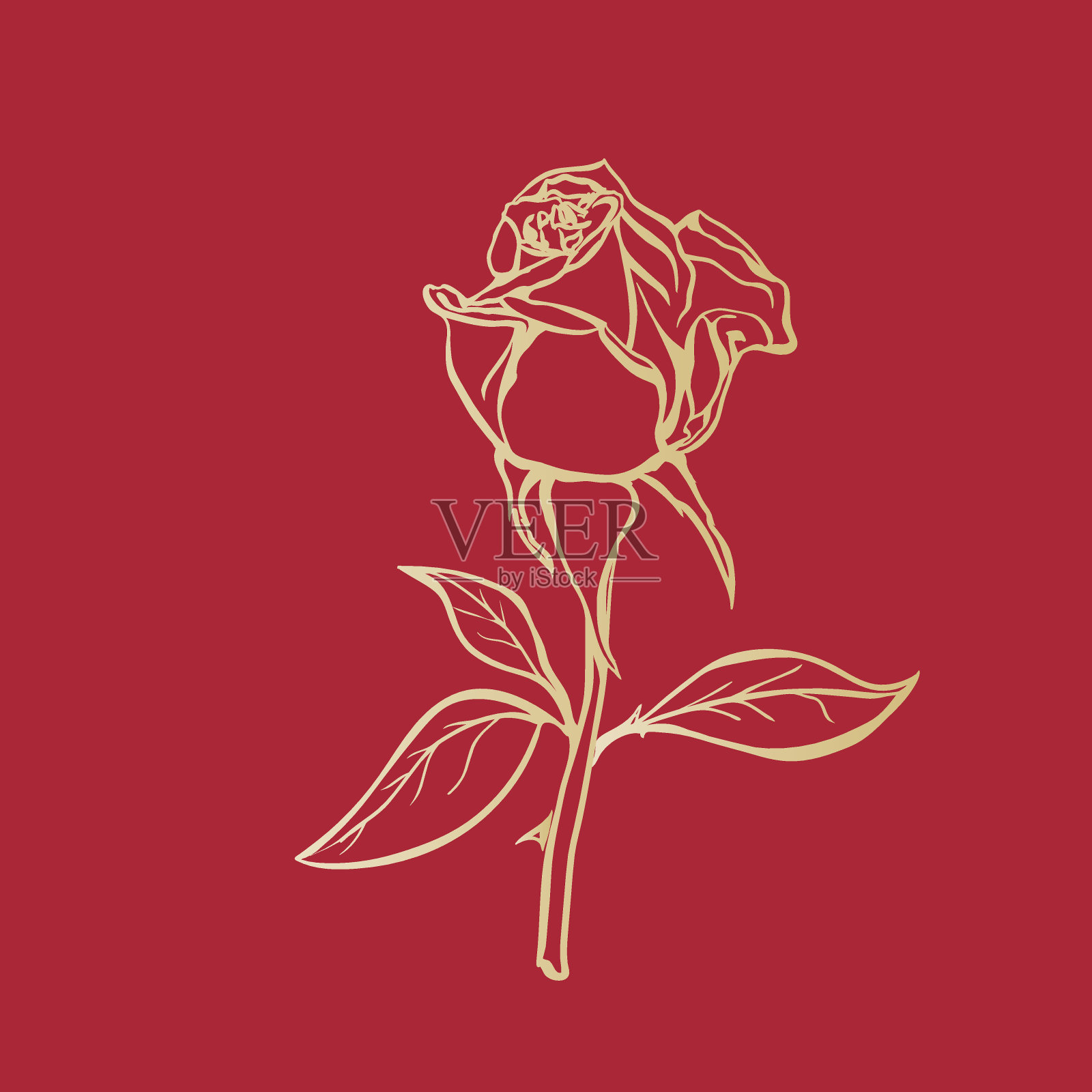 玫瑰草图设计元素图片