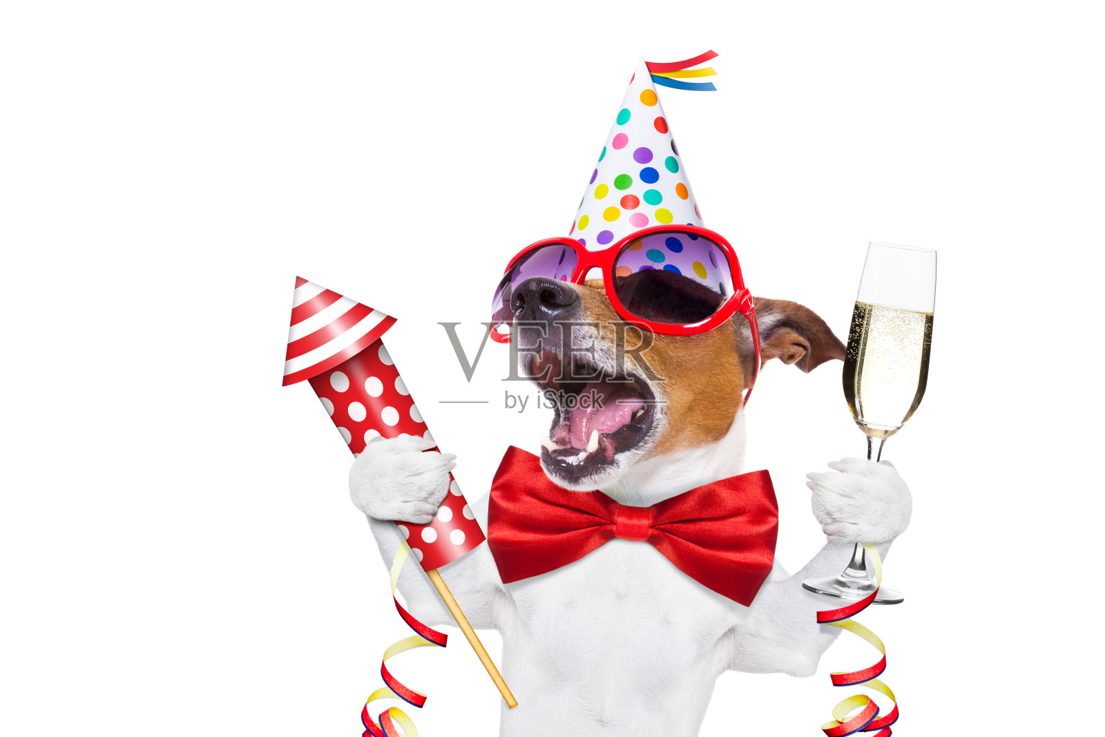 生日快乐的狗照片摄影图片