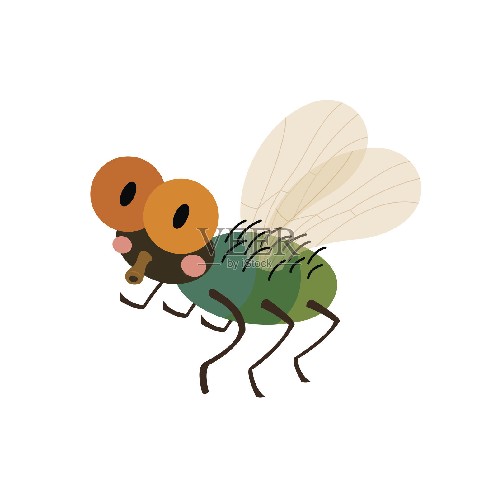 苍蝇动物卡通人物矢量插图。设计元素图片