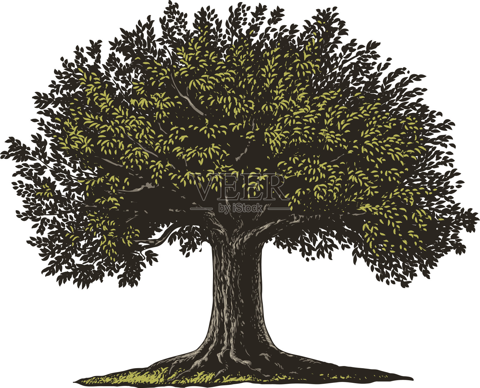 刻树设计元素图片