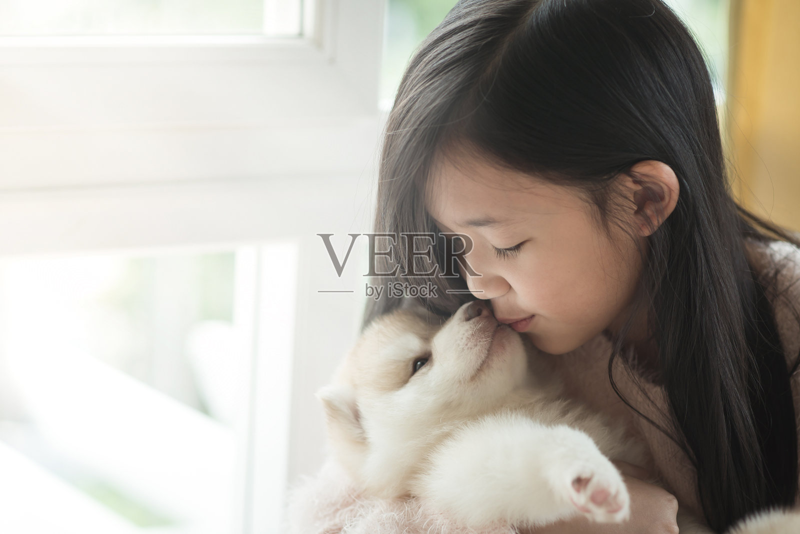 亚洲小女孩亲吻西伯利亚哈士奇小狗照片摄影图片