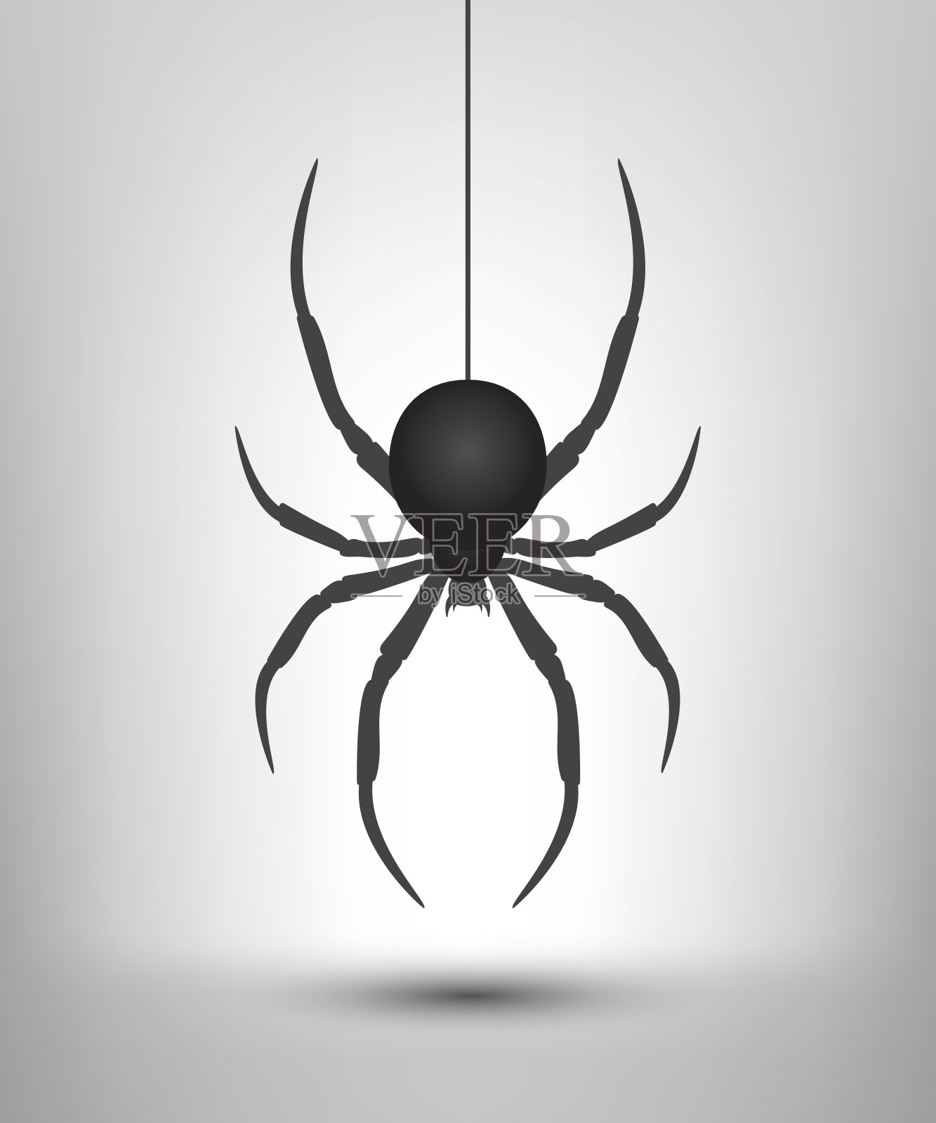 黑蜘蛛孤立。插画图片素材