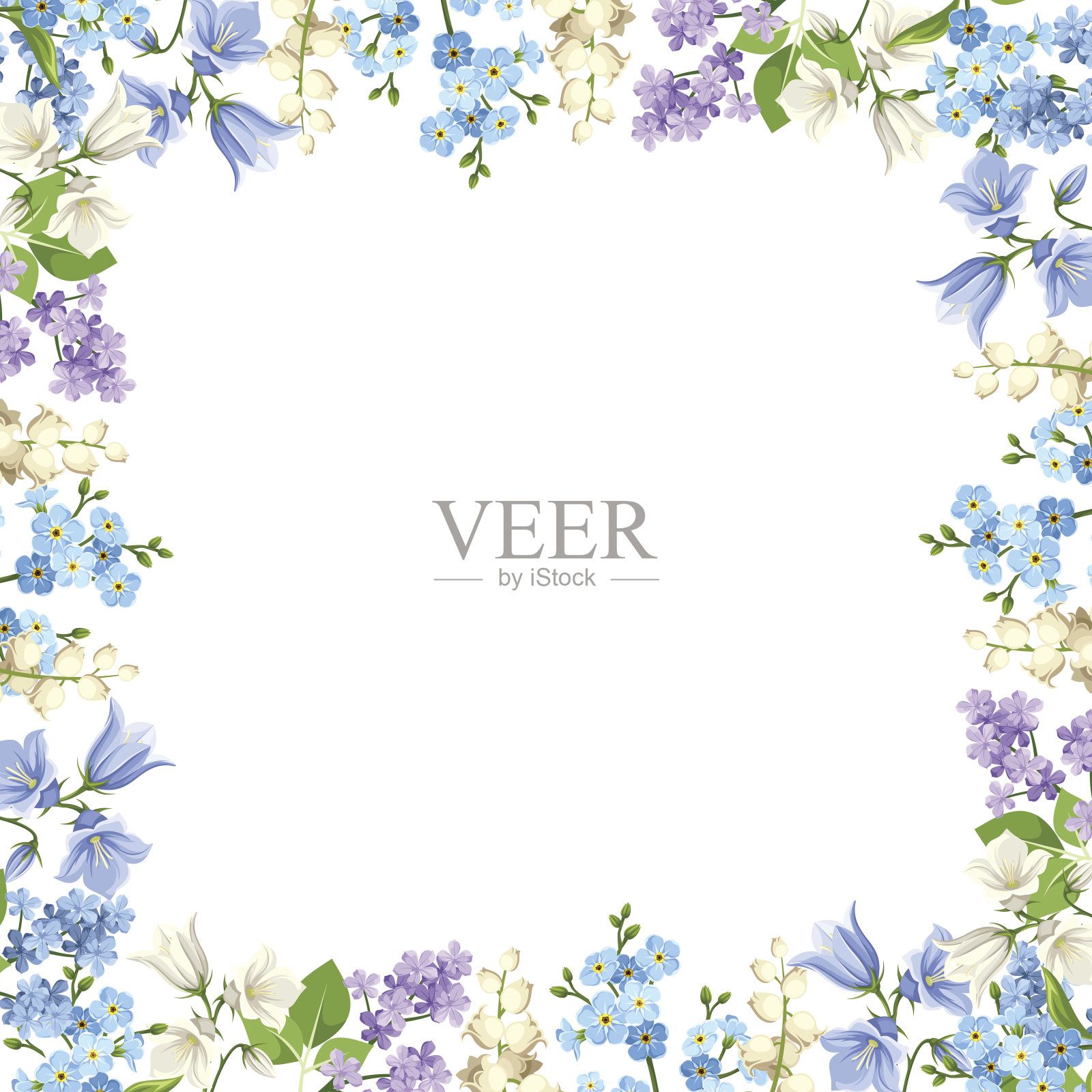框架与蓝色，紫色和白色的花。矢量插图。插画图片素材