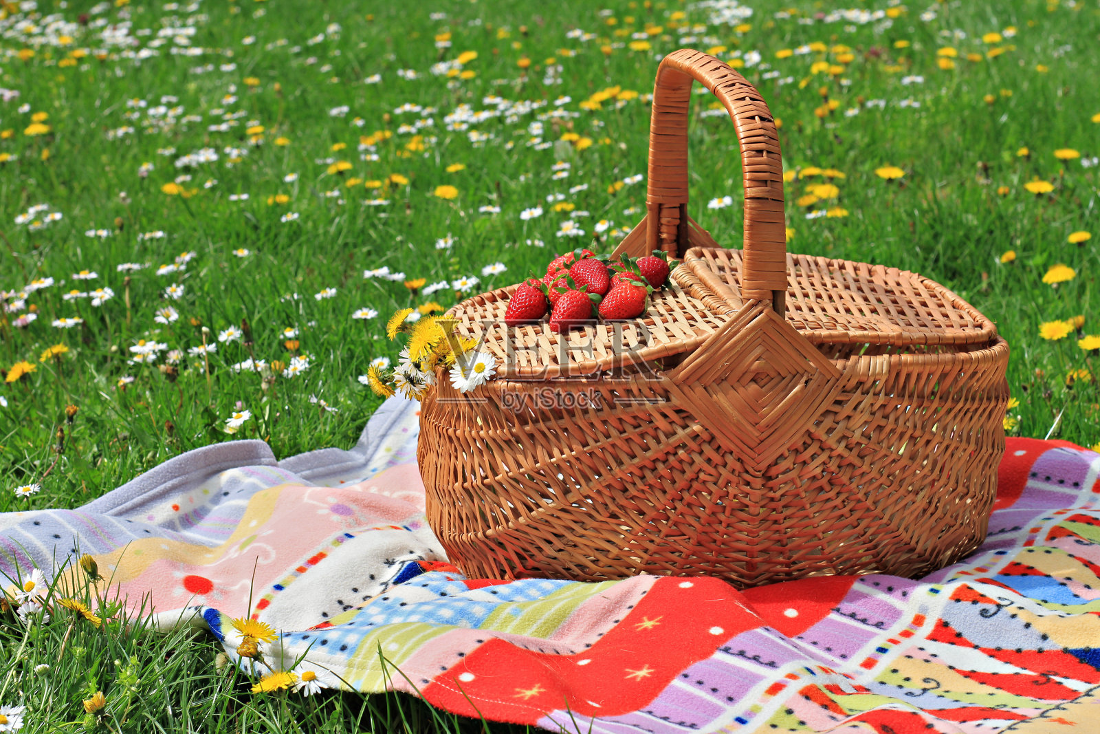 野餐篮和毯子上的绿色草地公园，自然。照片摄影图片