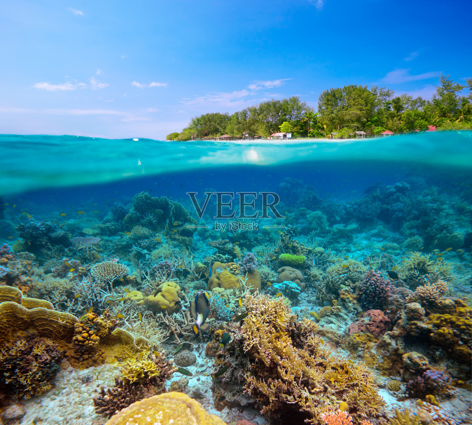 印度尼西亚梅诺岛的热带海滩，水下和水下。照片摄影图片