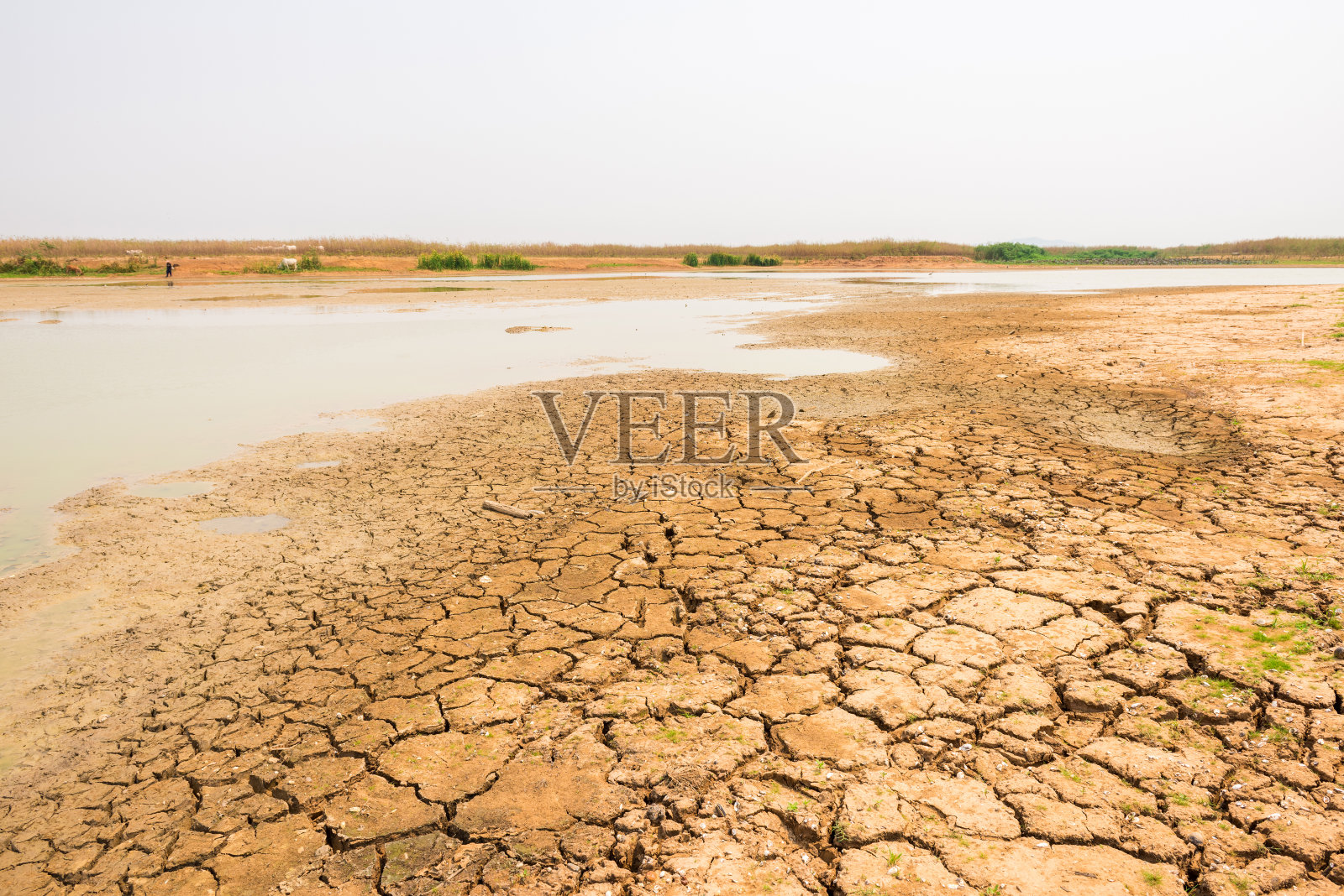 河底干裂的土壤表明干旱照片摄影图片