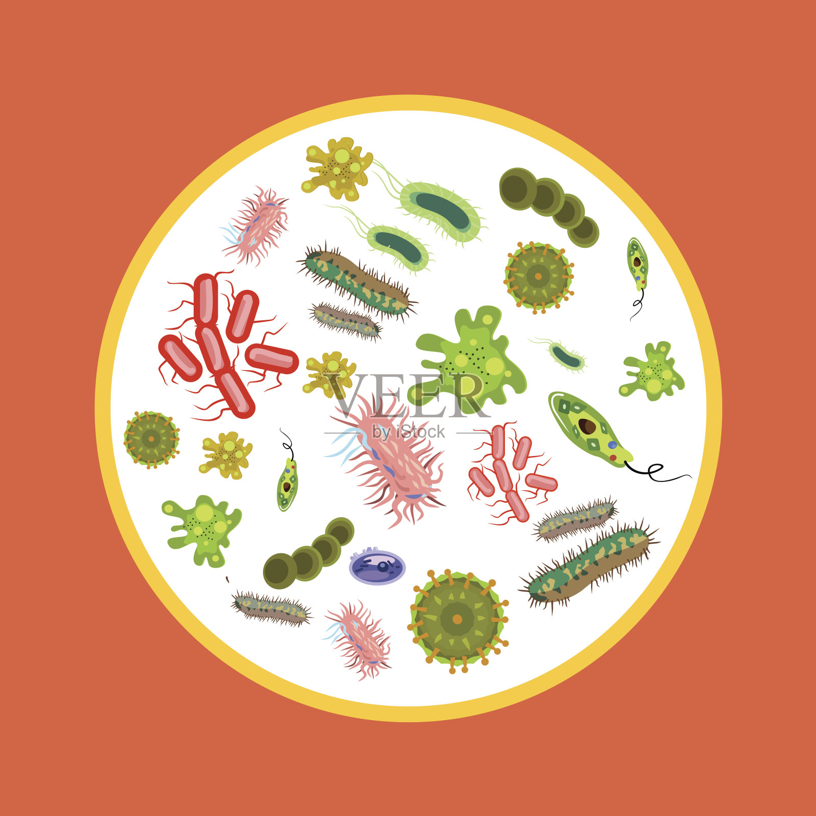 细菌学检查。矢量动画平面插图插画图片素材