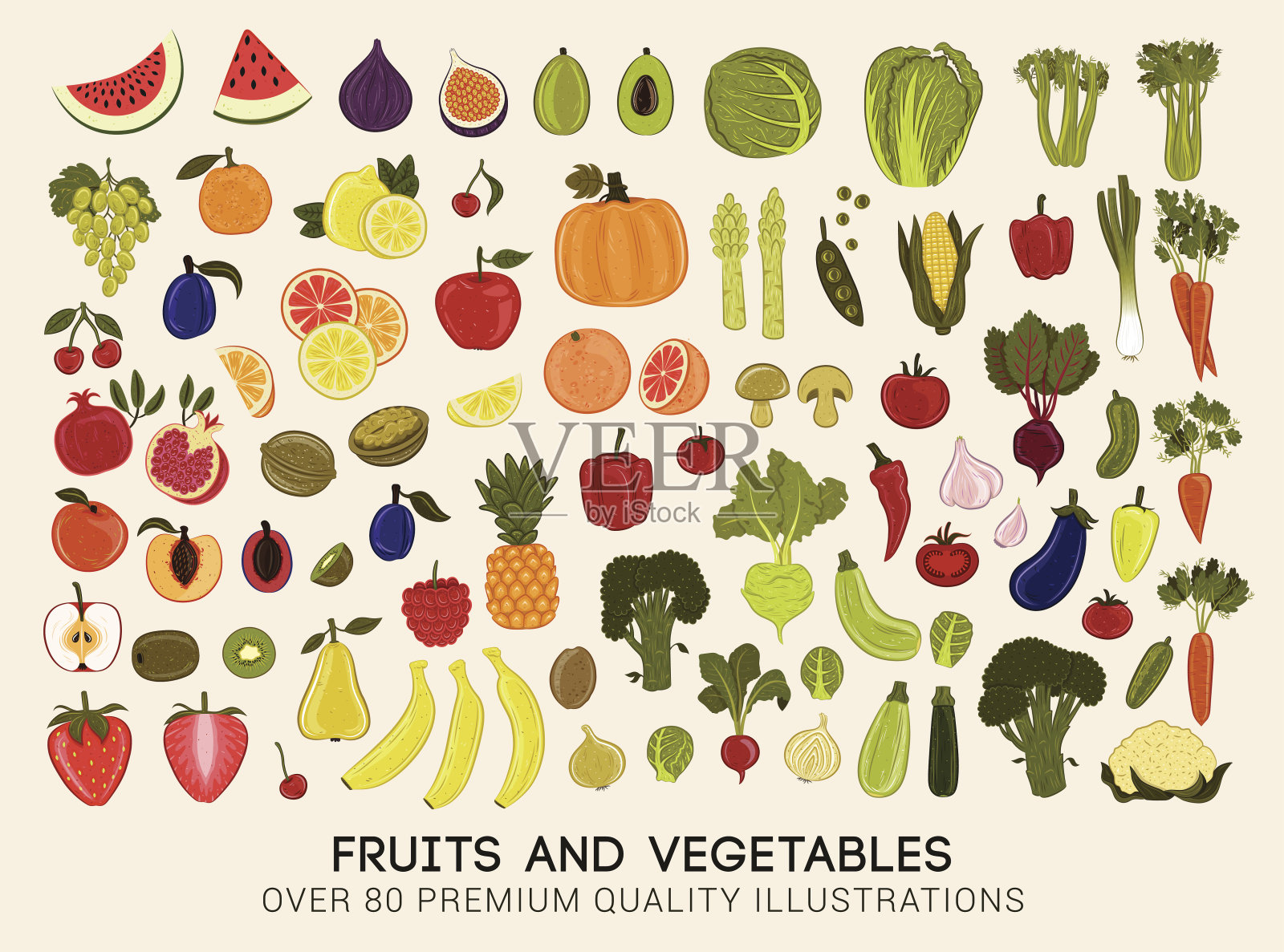 超级收集的矢量插图水果和蔬菜插画图片素材