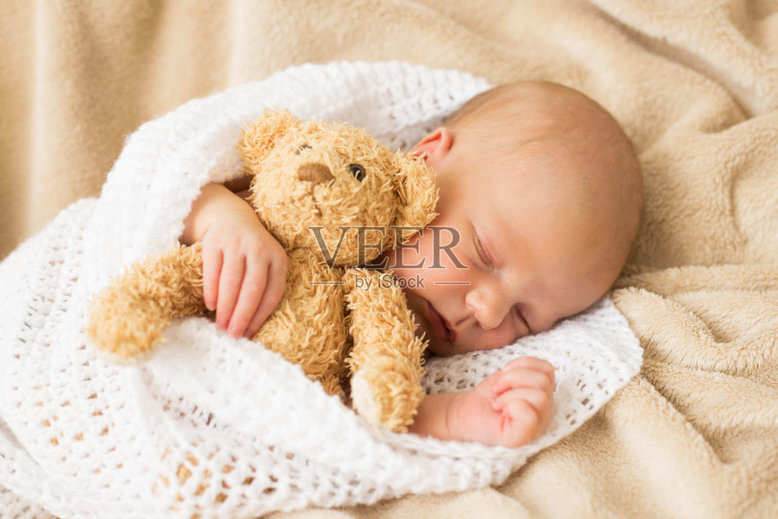 婴儿和泰迪熊睡在一起照片摄影图片