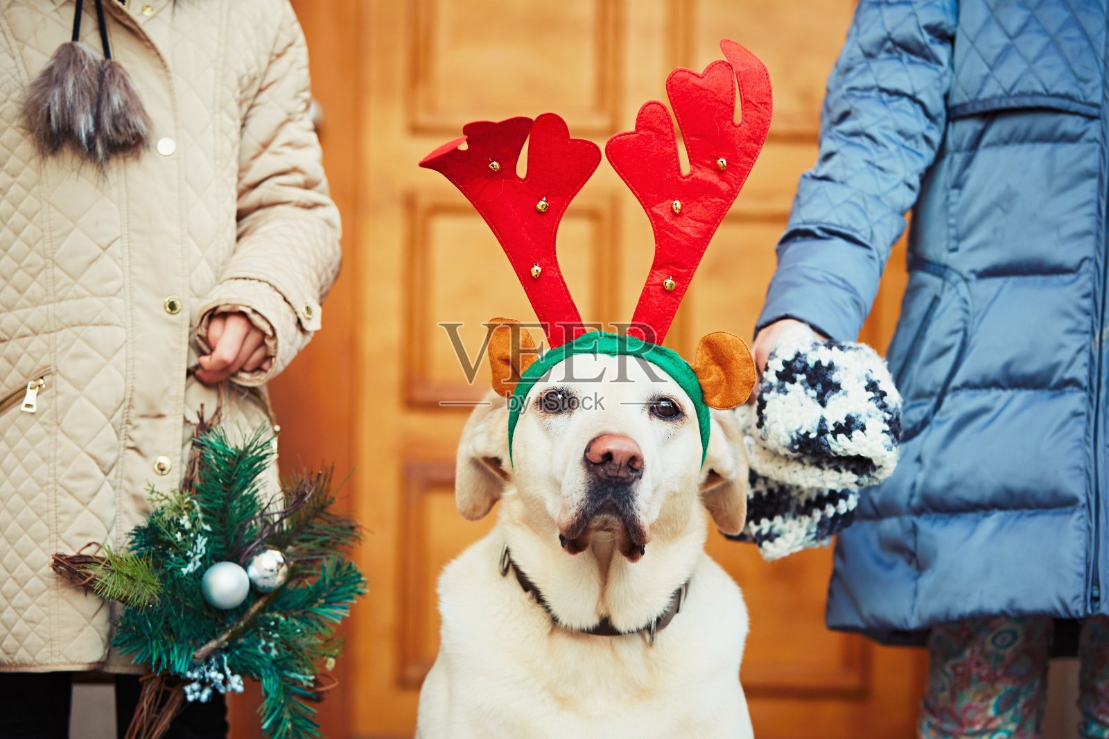 圣诞节遛狗照片摄影图片
