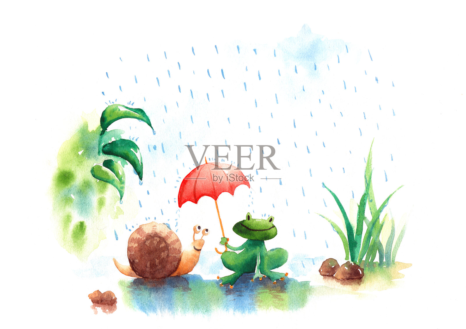 美丽的水彩插图的雨季青蛙和蜗牛插画图片素材