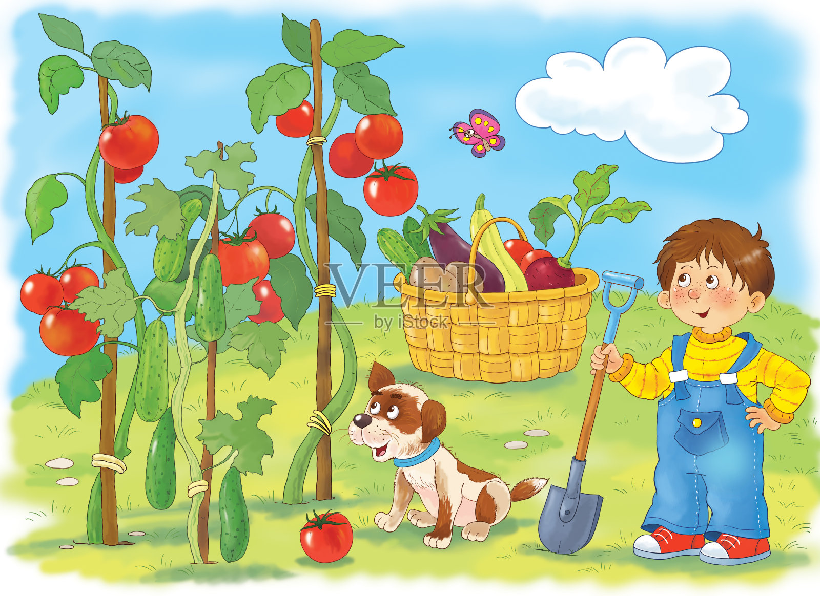 在花园里。一个可爱的男孩，他的狗，黄瓜和西红柿。对儿童插图。着色页面插画图片素材