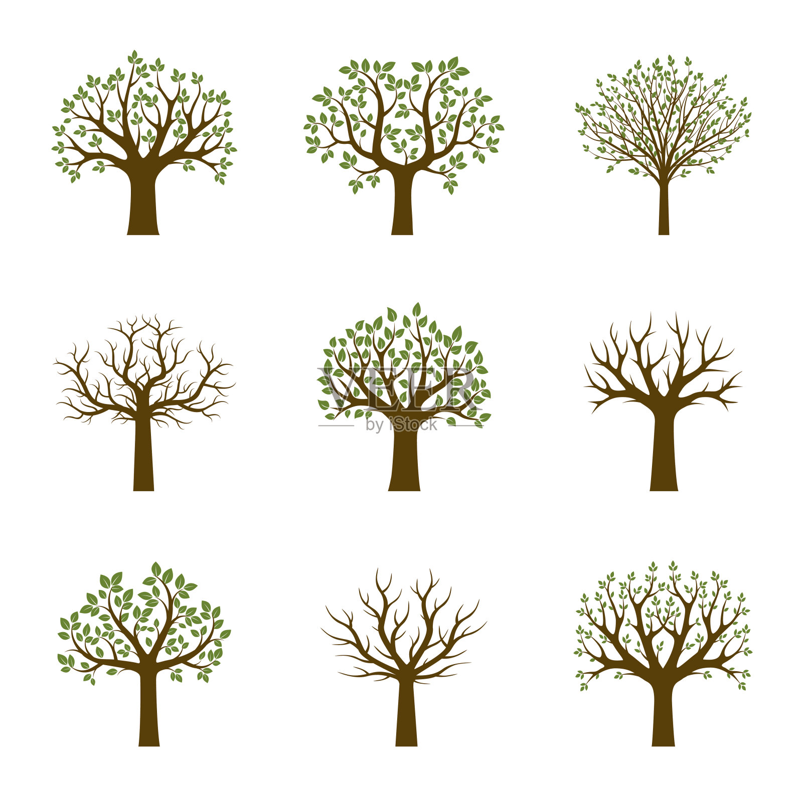 一组绿树。矢量插图。设计元素图片